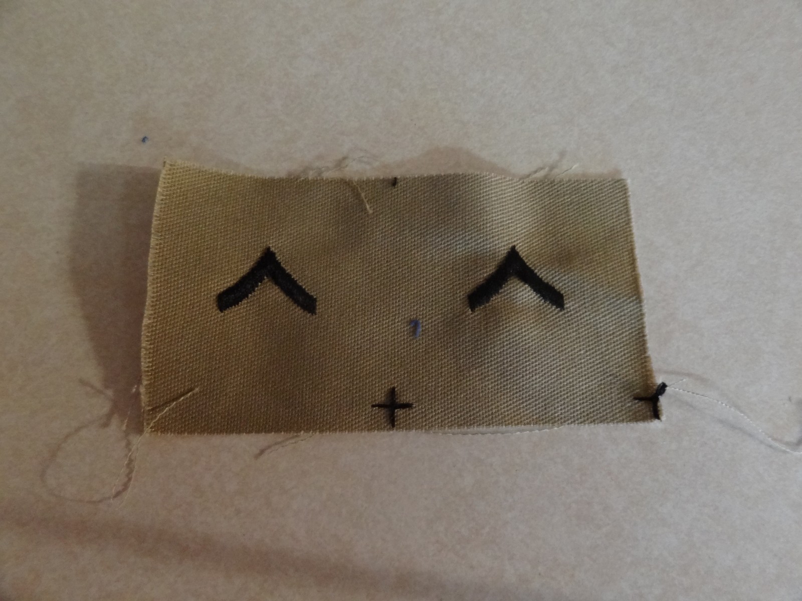 GENUINE US MILITARY INSIGNIA PATCH SEW ON SET OF 2 PRIVATE E-2 ARMY DESERT
