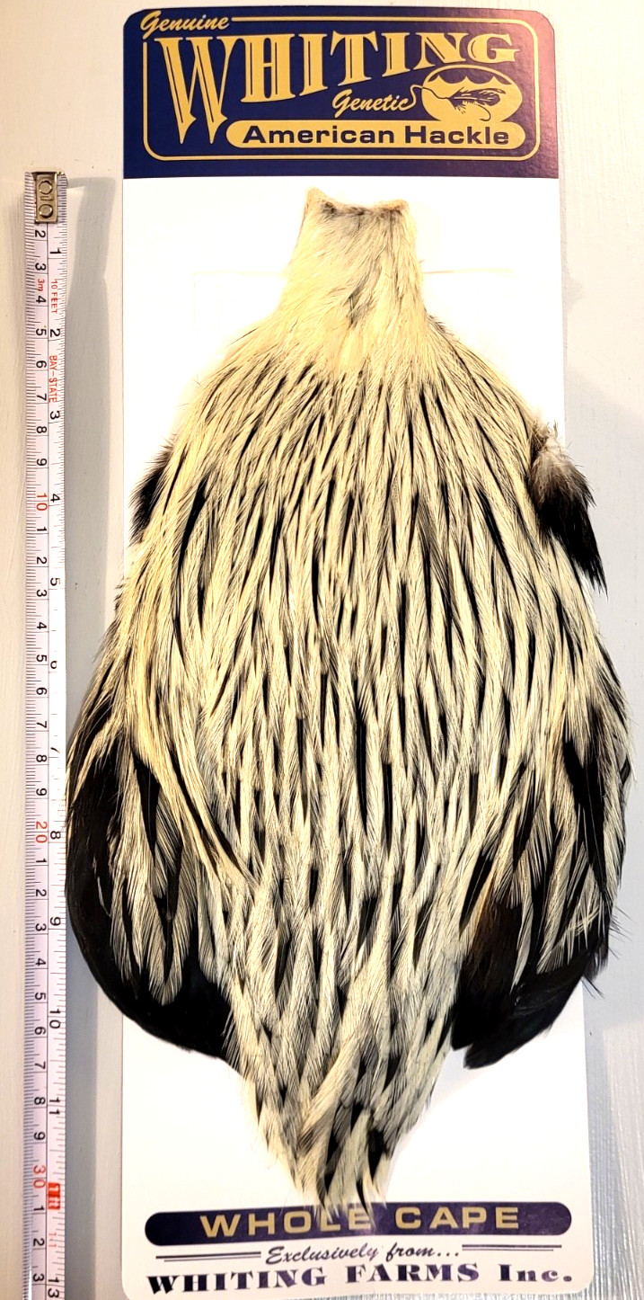 Whiting American Rooster Cape, Silver Badger, Fly Tying