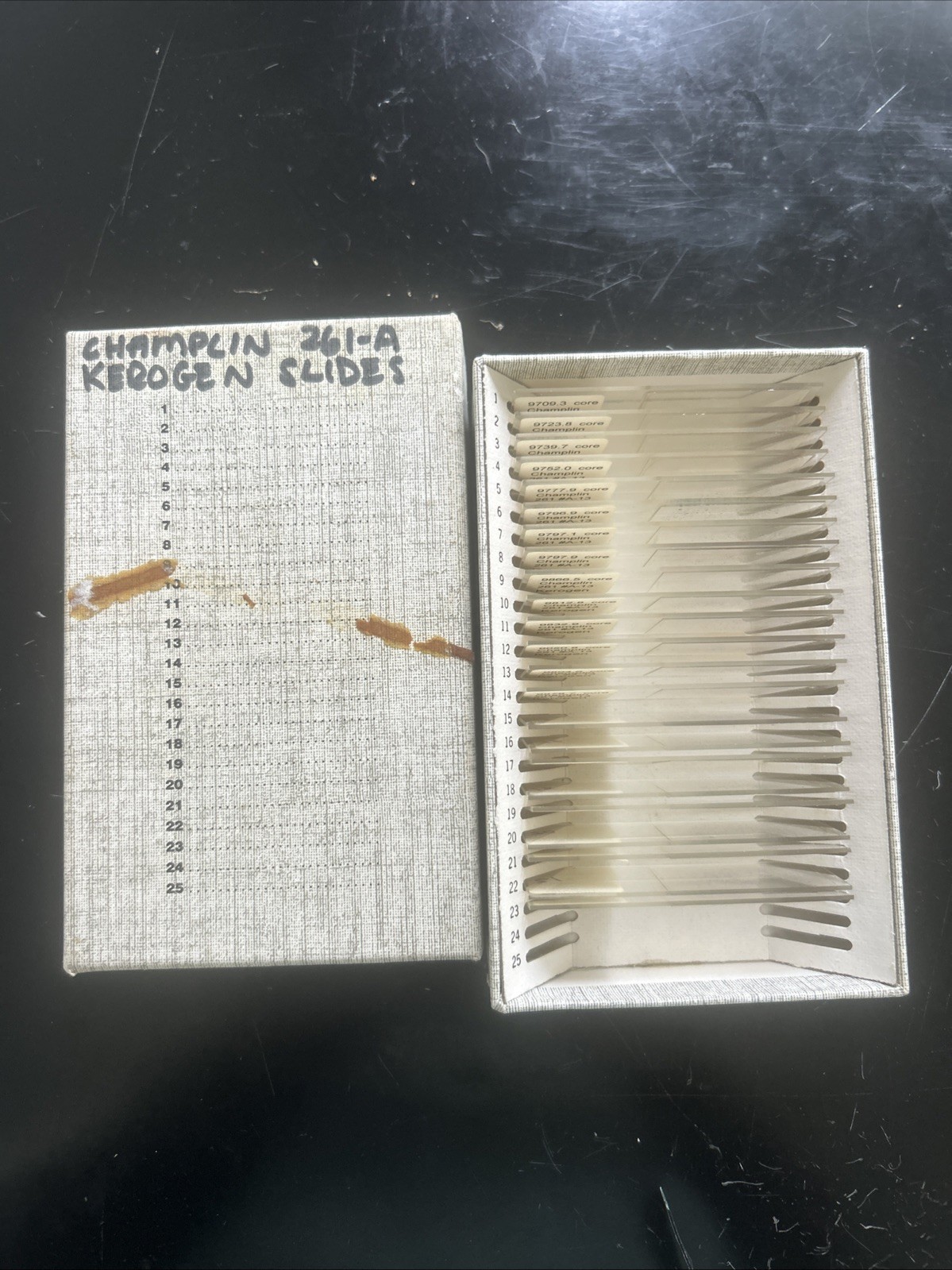 23  Kerogen Microscope Slides  For Champlin