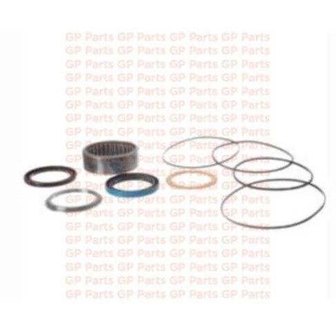 Genie 96419GT, SEAL KIT - MOTOR, GS1930, GS1932