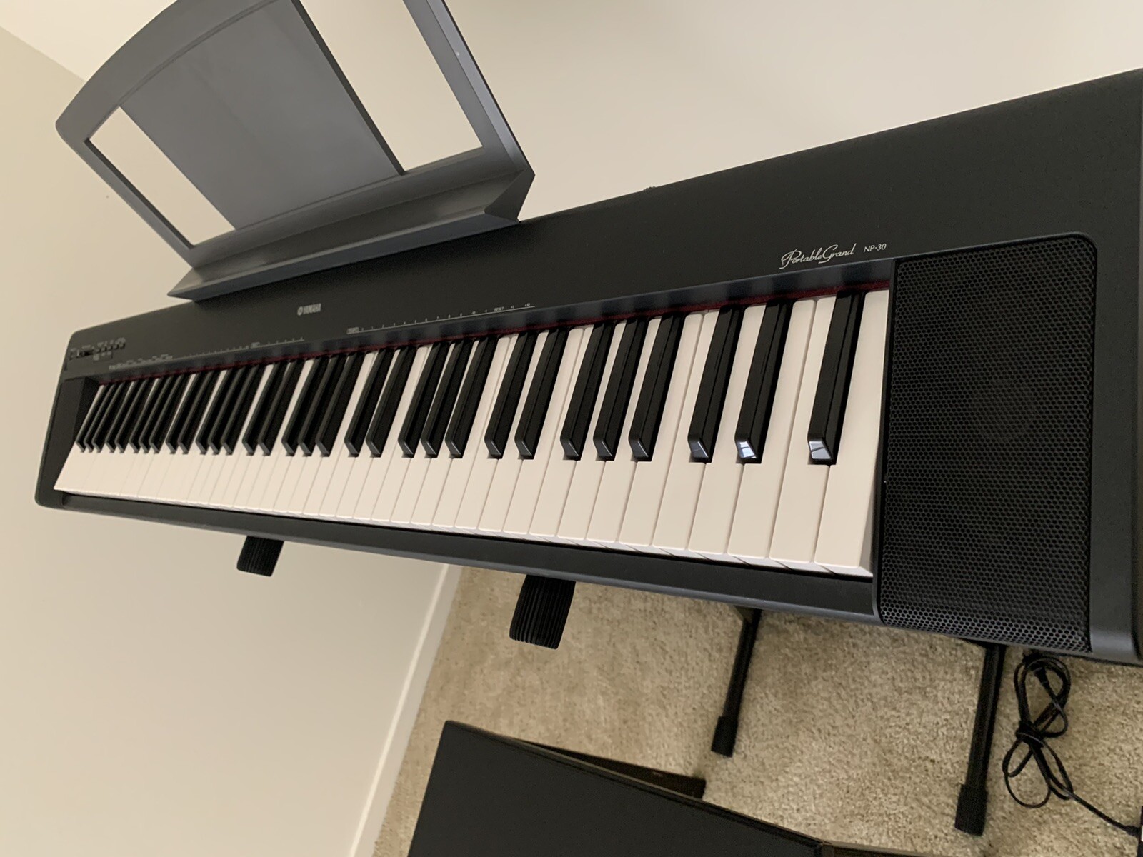 Portable Digital Piano Grand NP-30