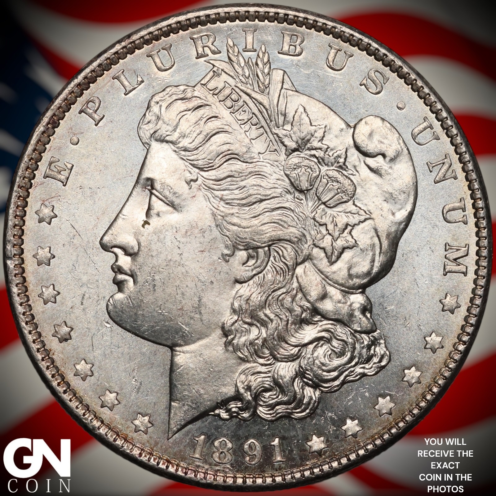 1891 S Morgan Dollar A9864