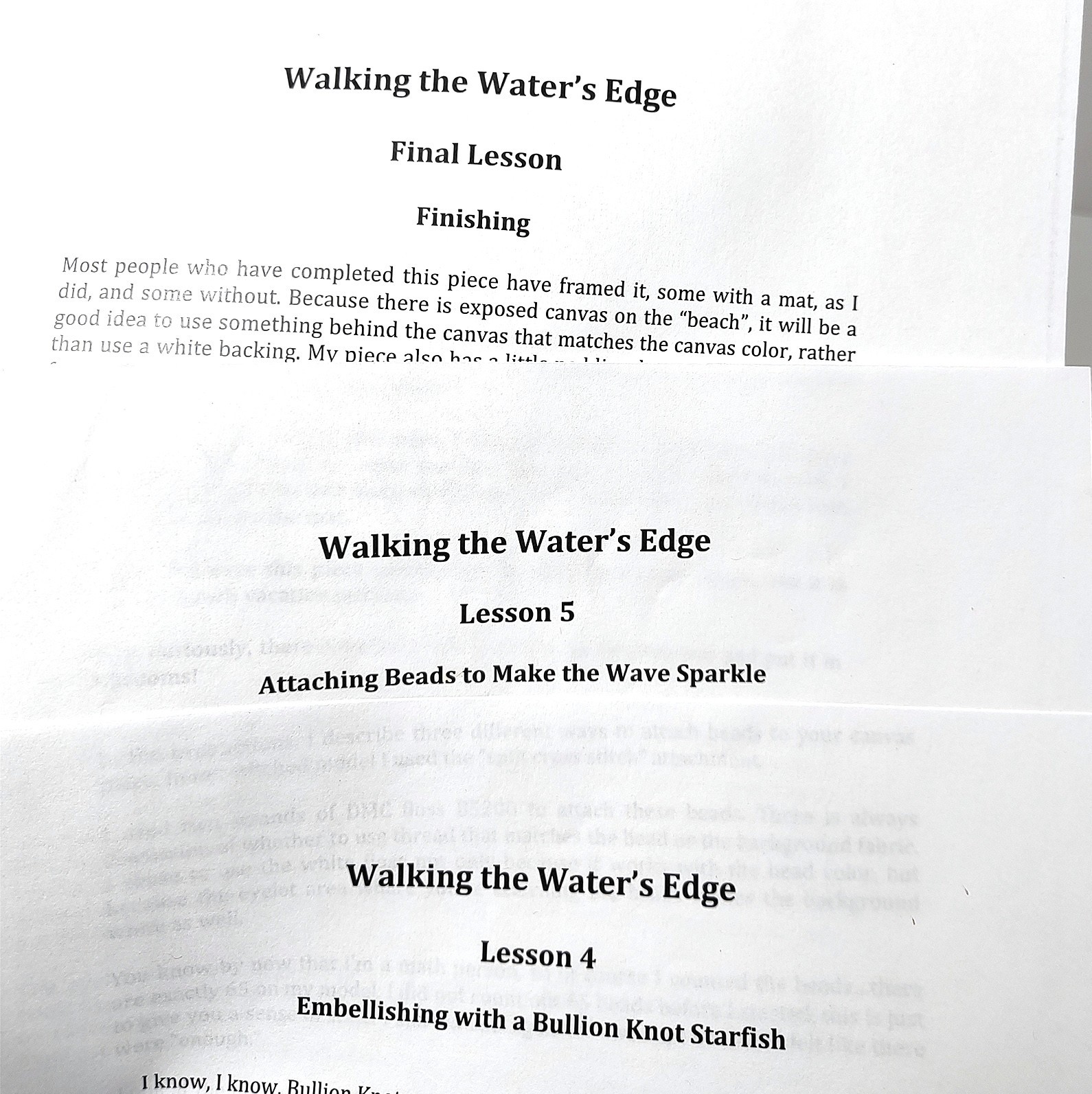 Diane Herrmann Needlepoint Pattern Walking Water’s Edge + RETIRED Class Lessons