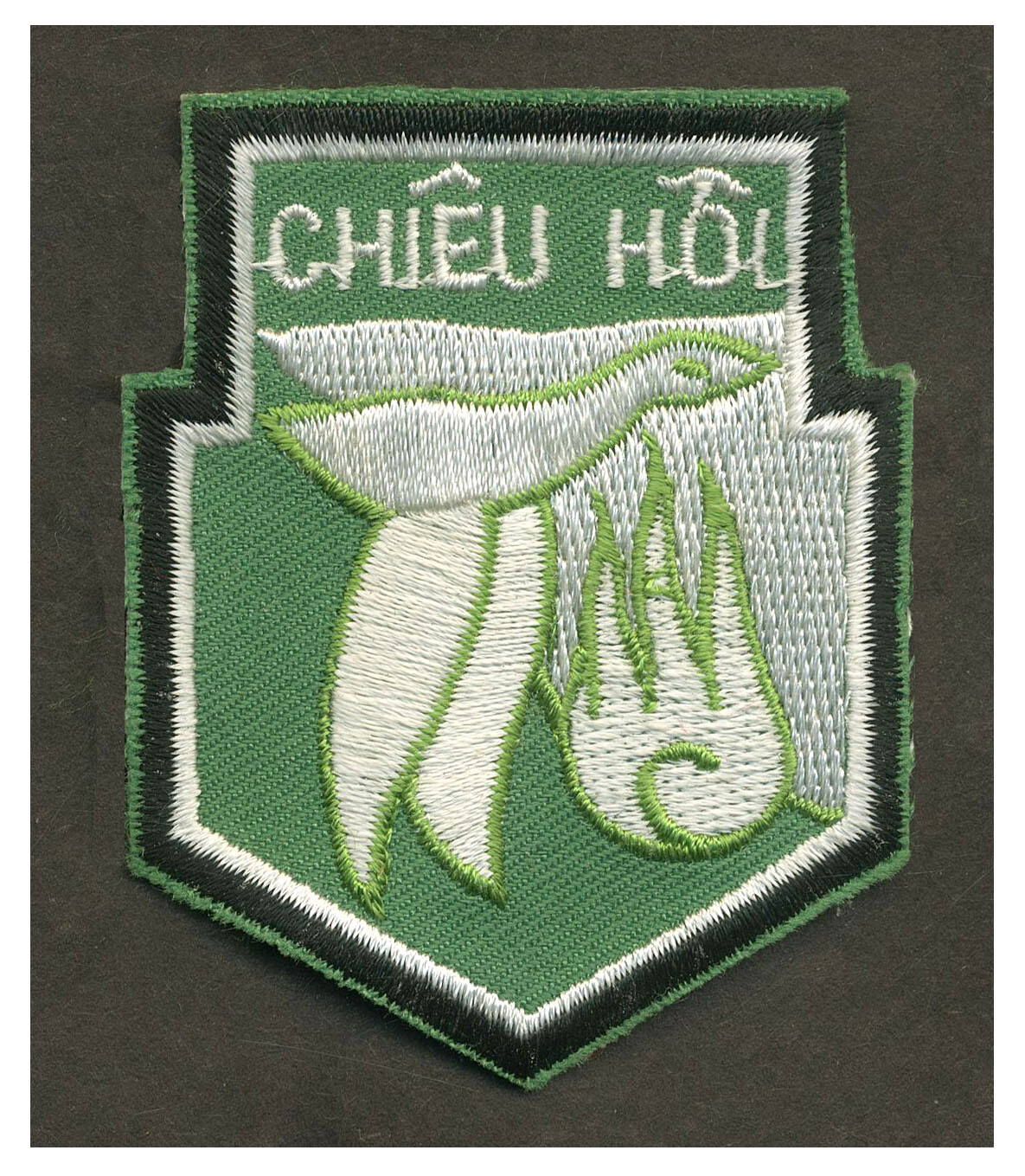 Vietnam War ARVN Chieu Hoi Patch  L010