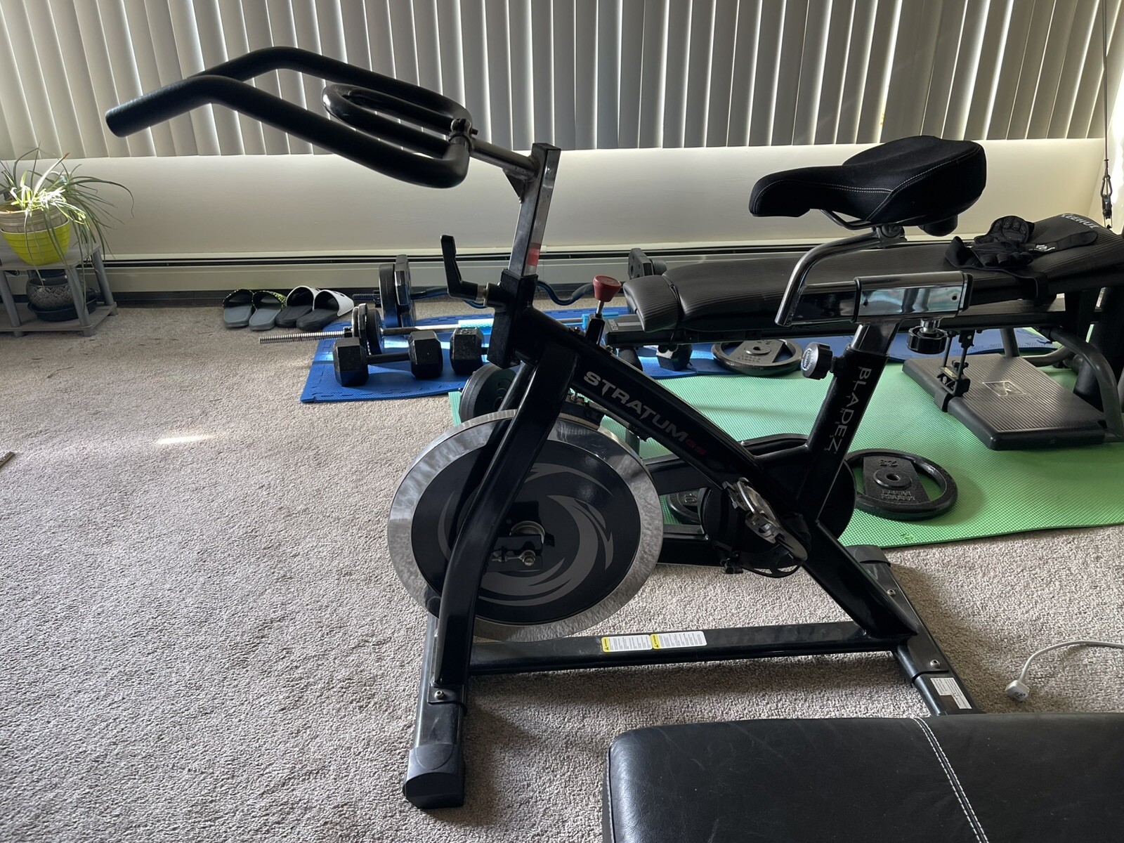 Bladez Fitness Stratum GS II Indoor Exercise Bike