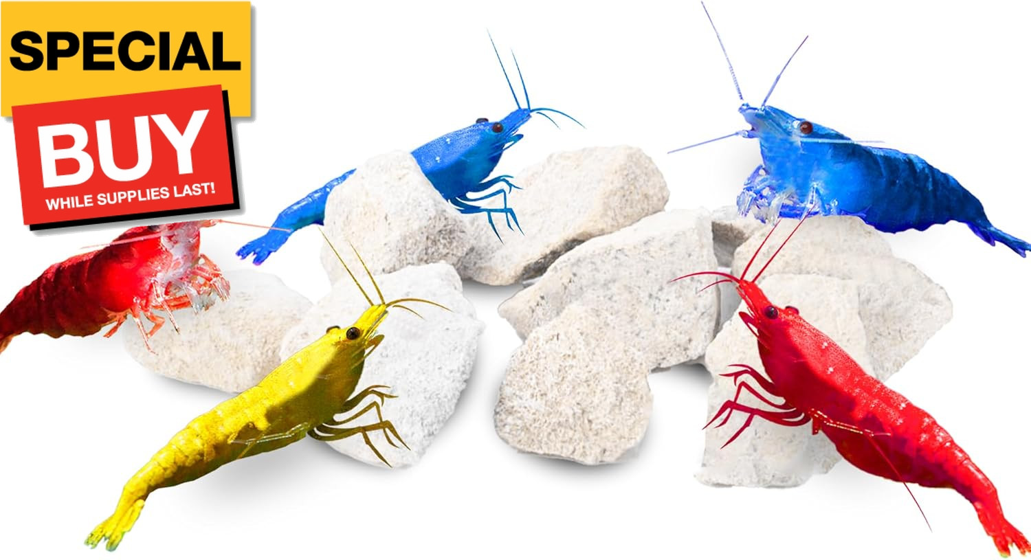 Water Conditioner Calcium Rocks for Baby Shrimps, Isopods, and Crayfish, Enhance
