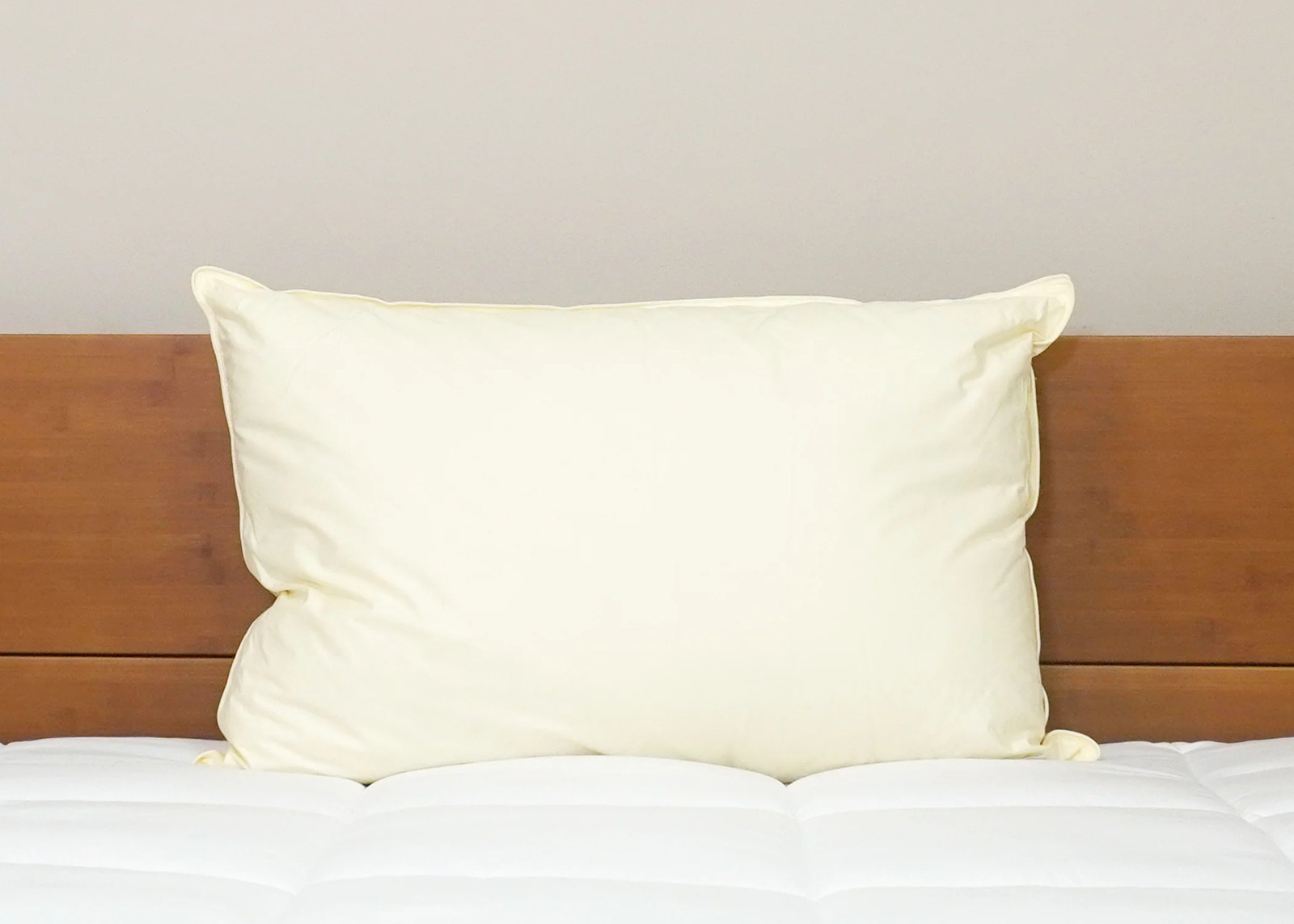 Down Etc. Aquaplush Pillow