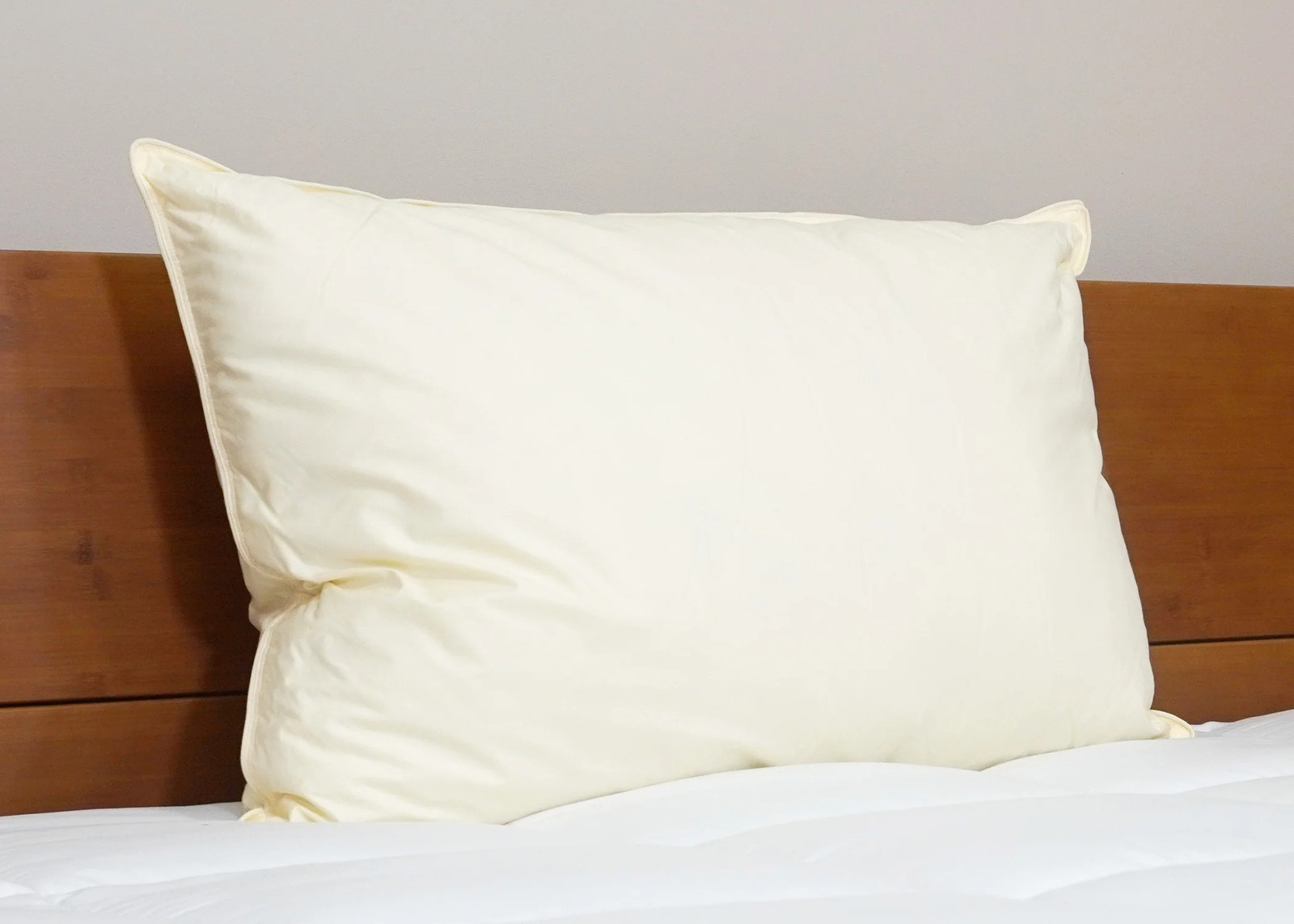 Down Etc. Aquaplush Pillow
