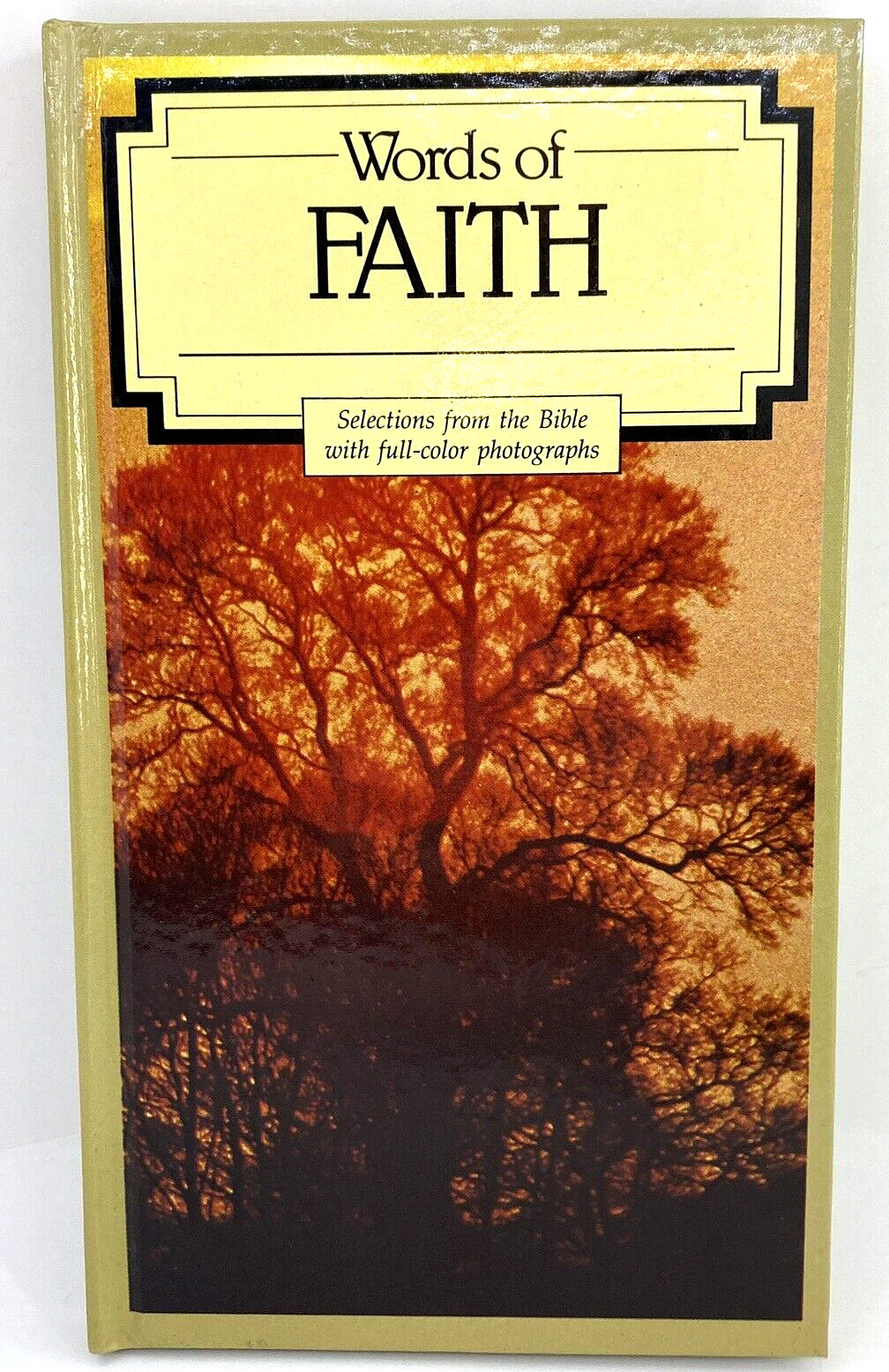 Words of Faith Book of Bible Scripture Quotes By Thomas Nelson, 44 Pages