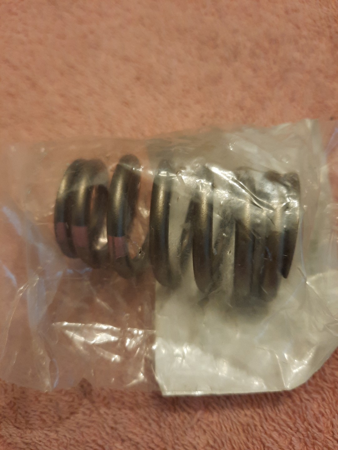 Gm 12589774 Valve Spring