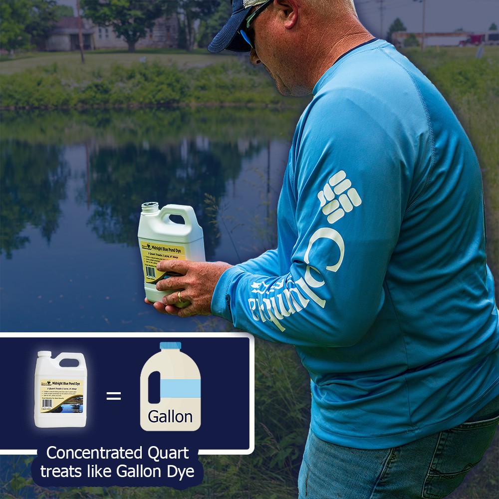 Midnight Blue Pond Dye Concentrated Quart