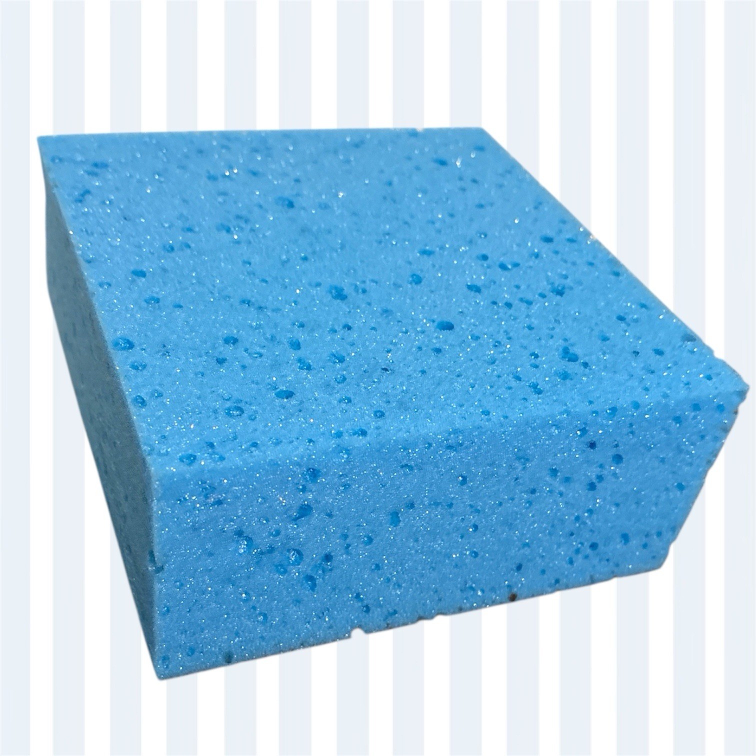 Sponges
