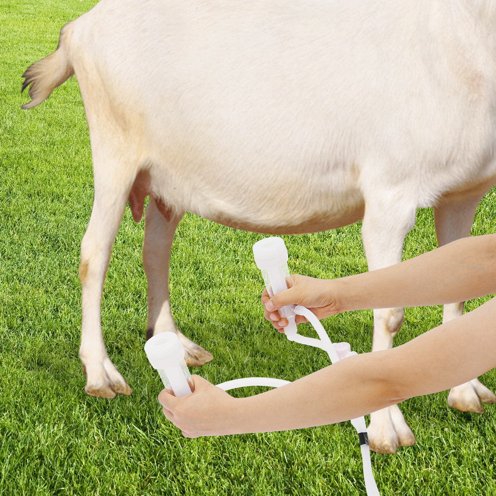 Electric Pulsation Cow Milking Machine, 3L Stainless Steel Bucket