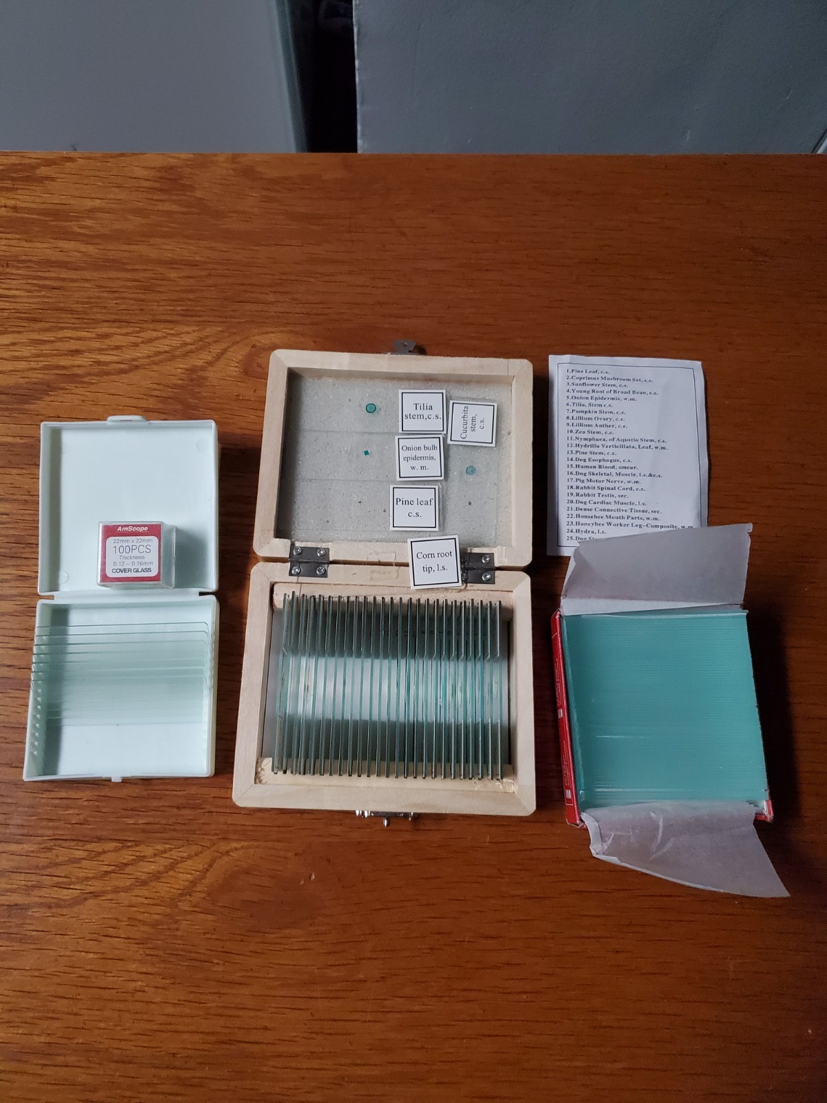 Assortment of AM Scope Prepared Slides And Clear Slides