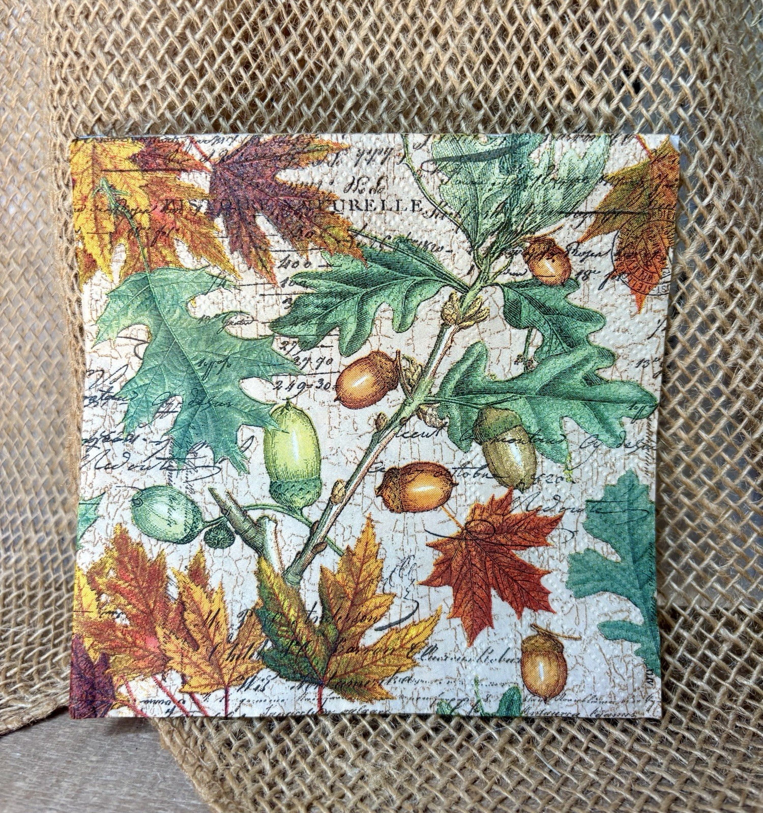 C-051 Fall leaves, Acorns, maple leaf napkins for decoupage, paper crafts,