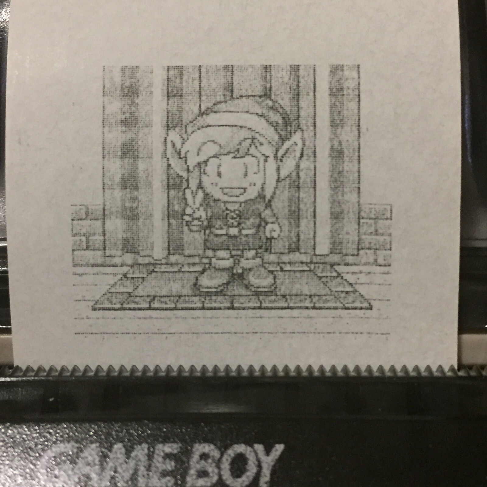 Legend Of Zelda Links Awakening DX (GBC) Game Boy Printer Print-Outs (13)