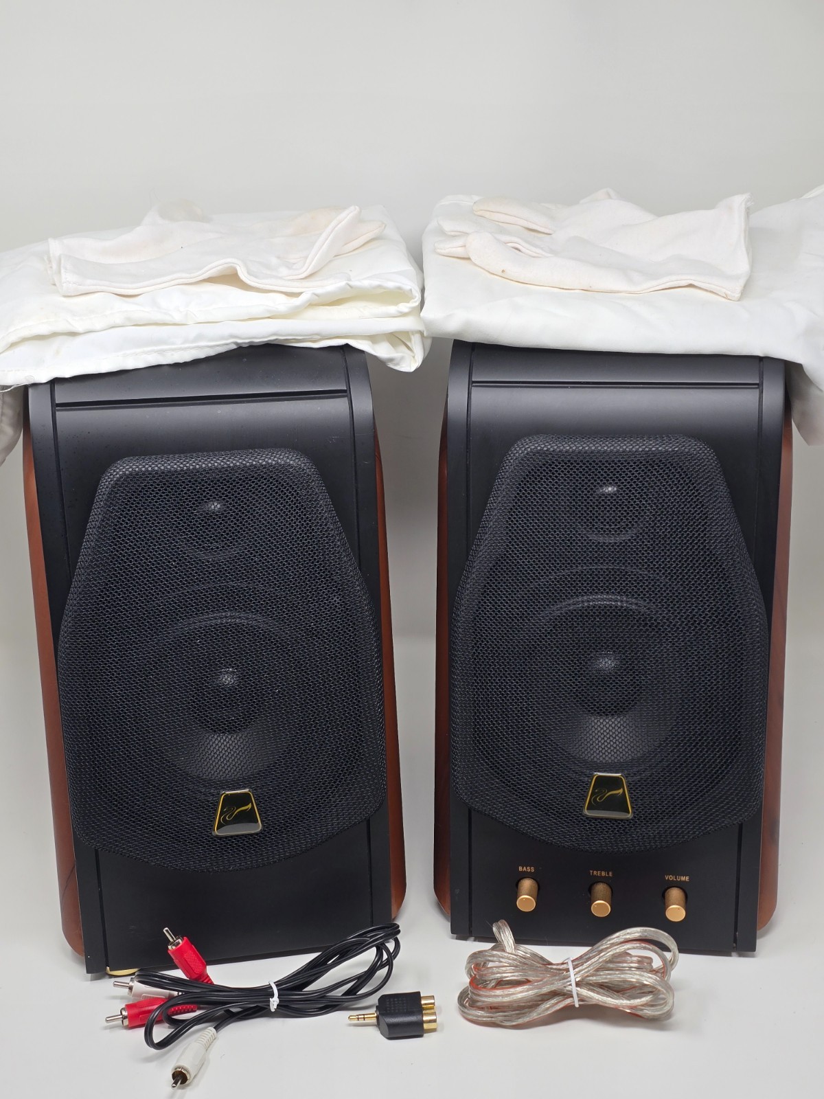 Swan HiVi M200 MKII MK2 Powered Desktop Bookshelf Speakers Audiophile NEW CAPS