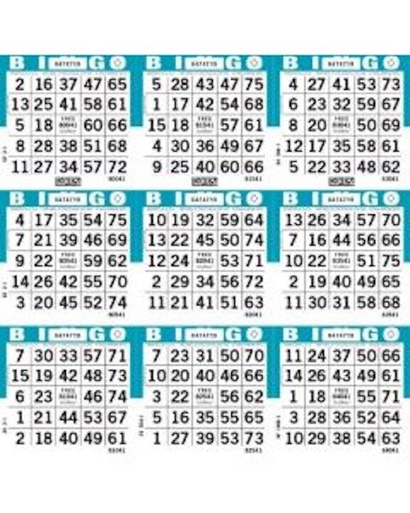9 On 10 Up Standard Color Collation Bingo Paper Cards- 50 Books