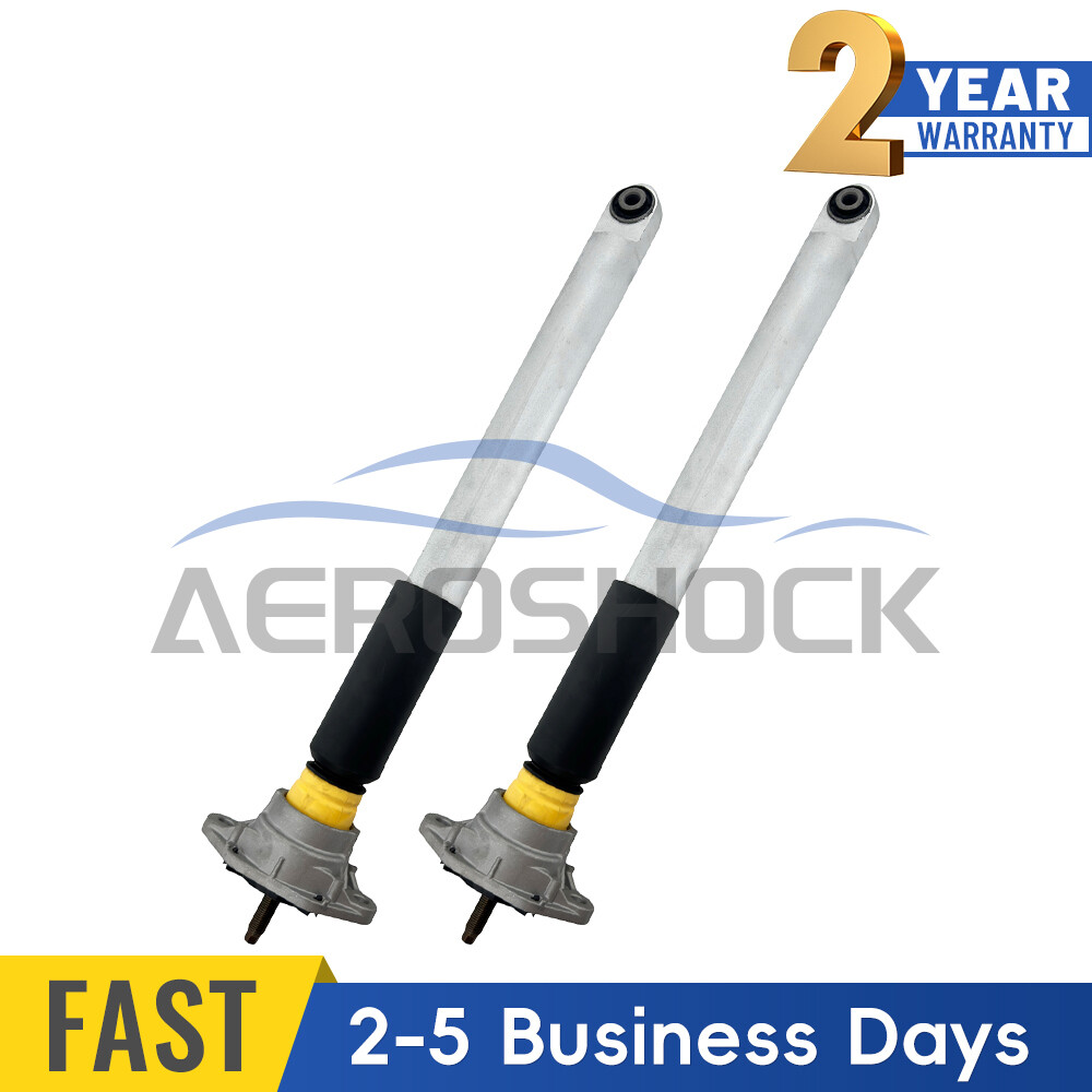 Rear Left+Right Shock Struts w/PASM Fit Porsche Panamera 970 97033306107 2010-16