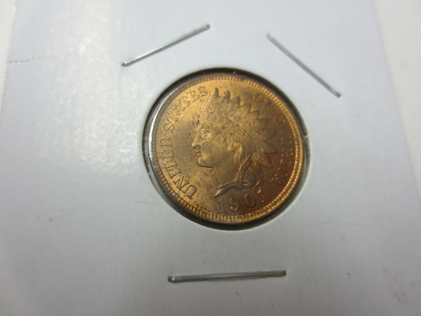 1901 Indian Head Cent CH-BU RED