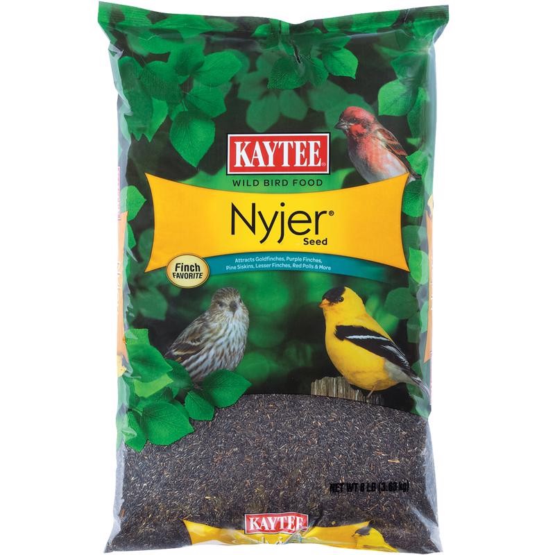 Kaytee Nyjer Songbird Niger Seed Wild Bird Food 8 lb (Pack of 3)