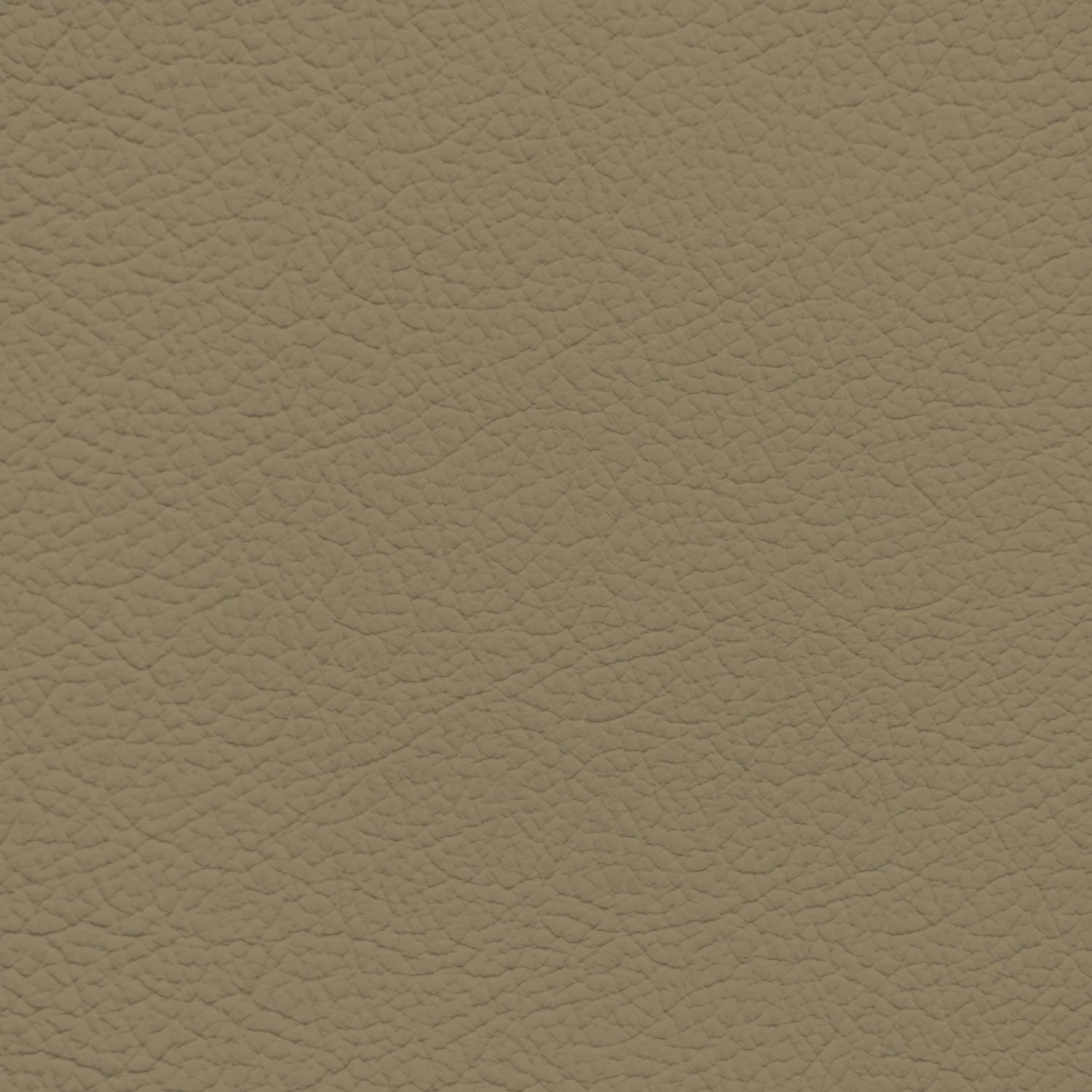 GM Medium Biscuit Leather Dye