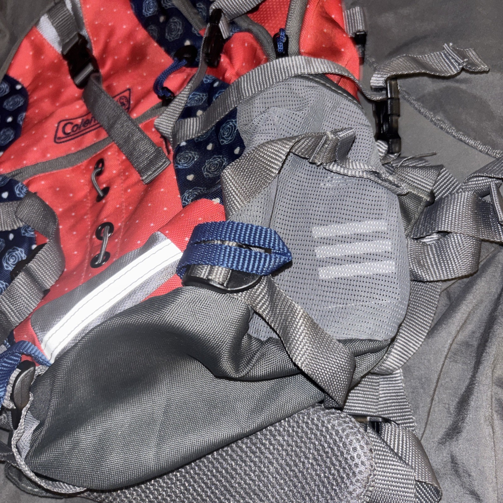 Coleman Backpack