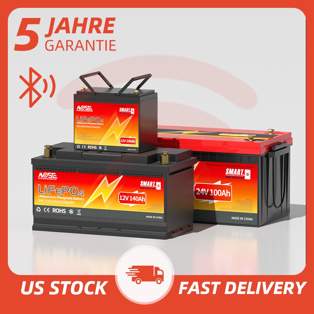 12V 24V 36V 48V 100Ah 230Ah 300Ah Bluetooth LiFePO4 Lithium Battery Solar Marine