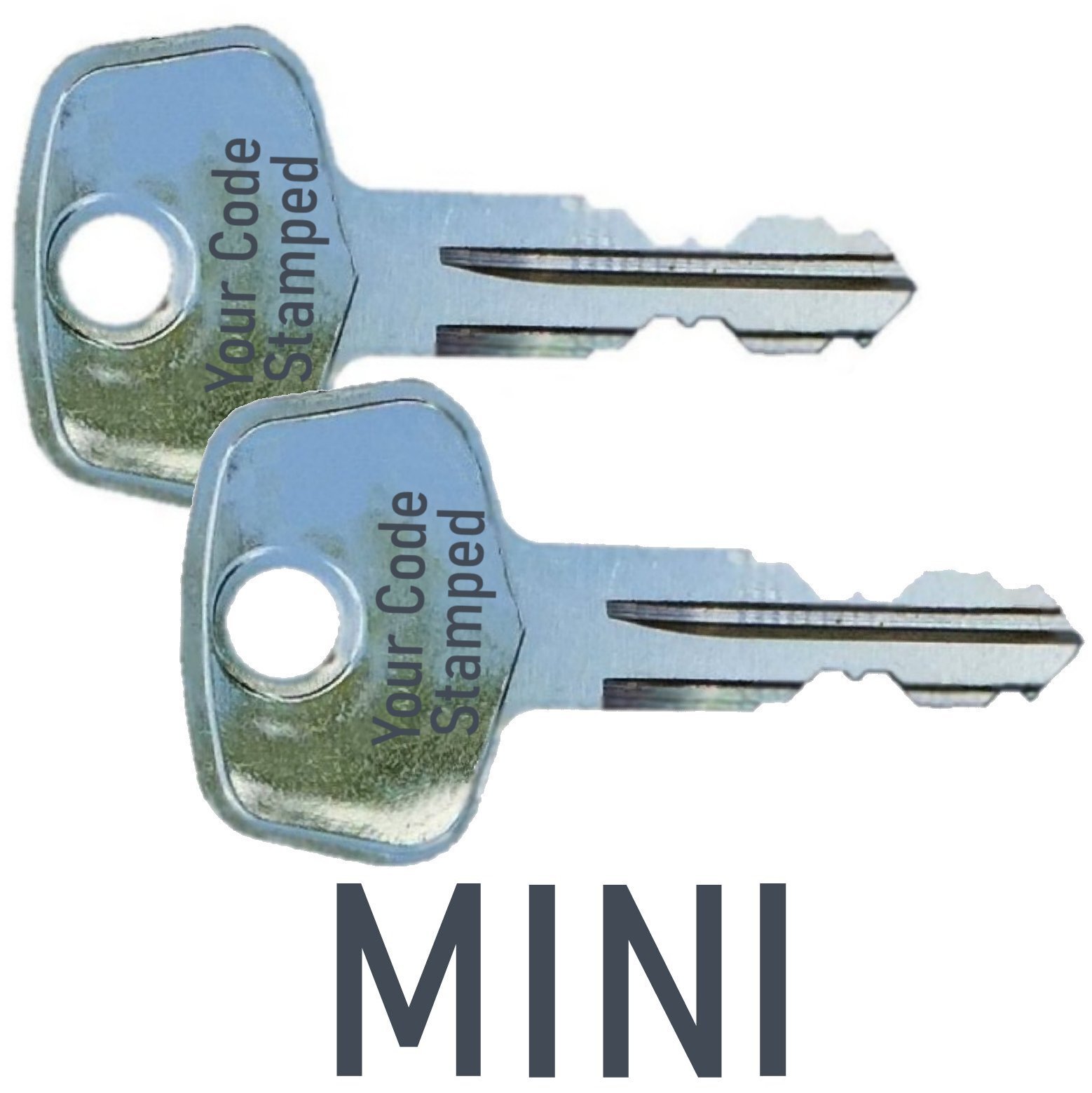2 MINI Replacement ROOF RACK Key Car Ski Lock Bicycle Hauler Snowboard Carrier