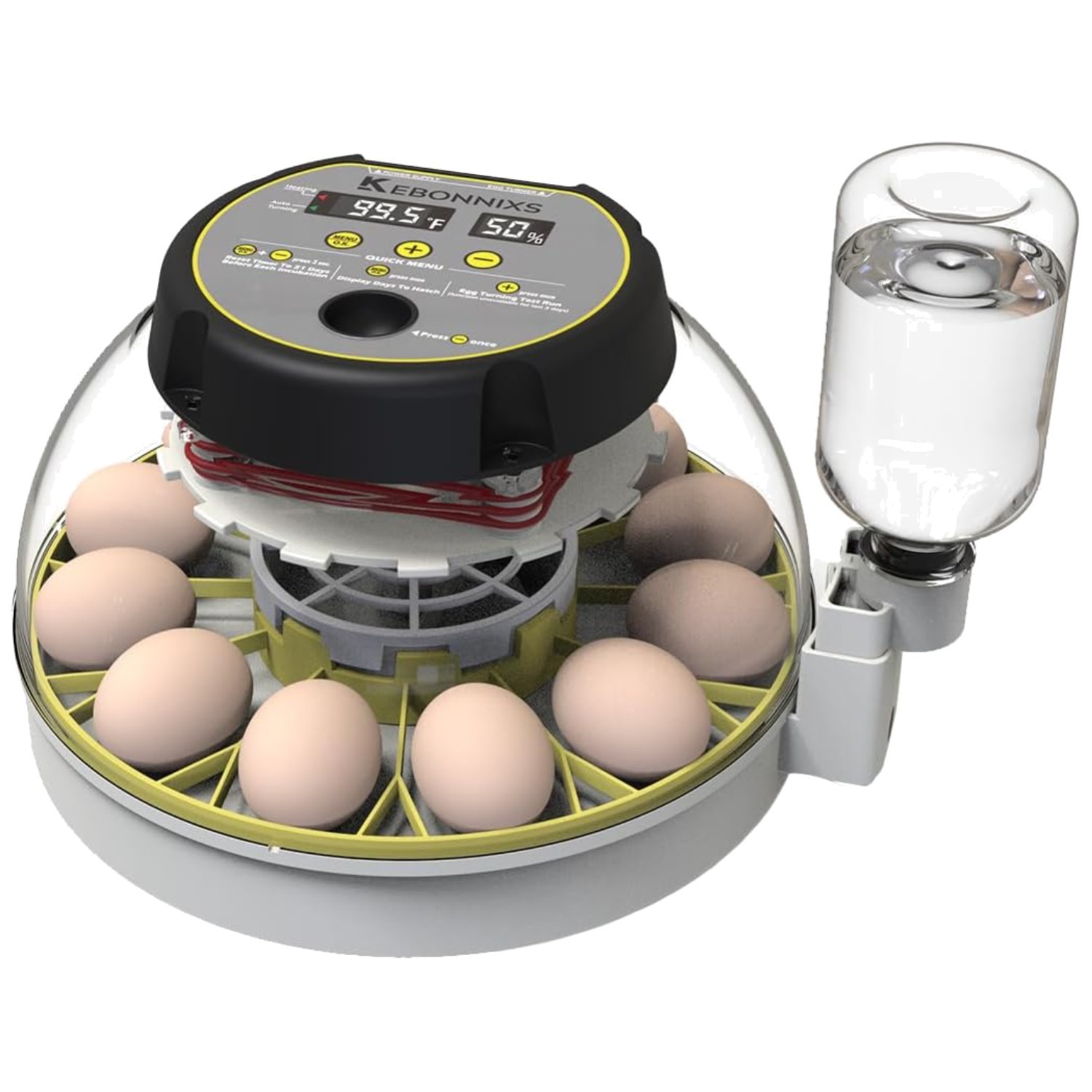 Incubator for Hatching Chickens with Candler & Turner