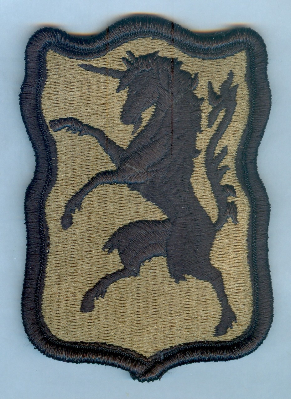 U.S. ARMY 6th ARMOR CAV REGIMENT SHOULDER PATCH - MULTICAM  / OCP ... X