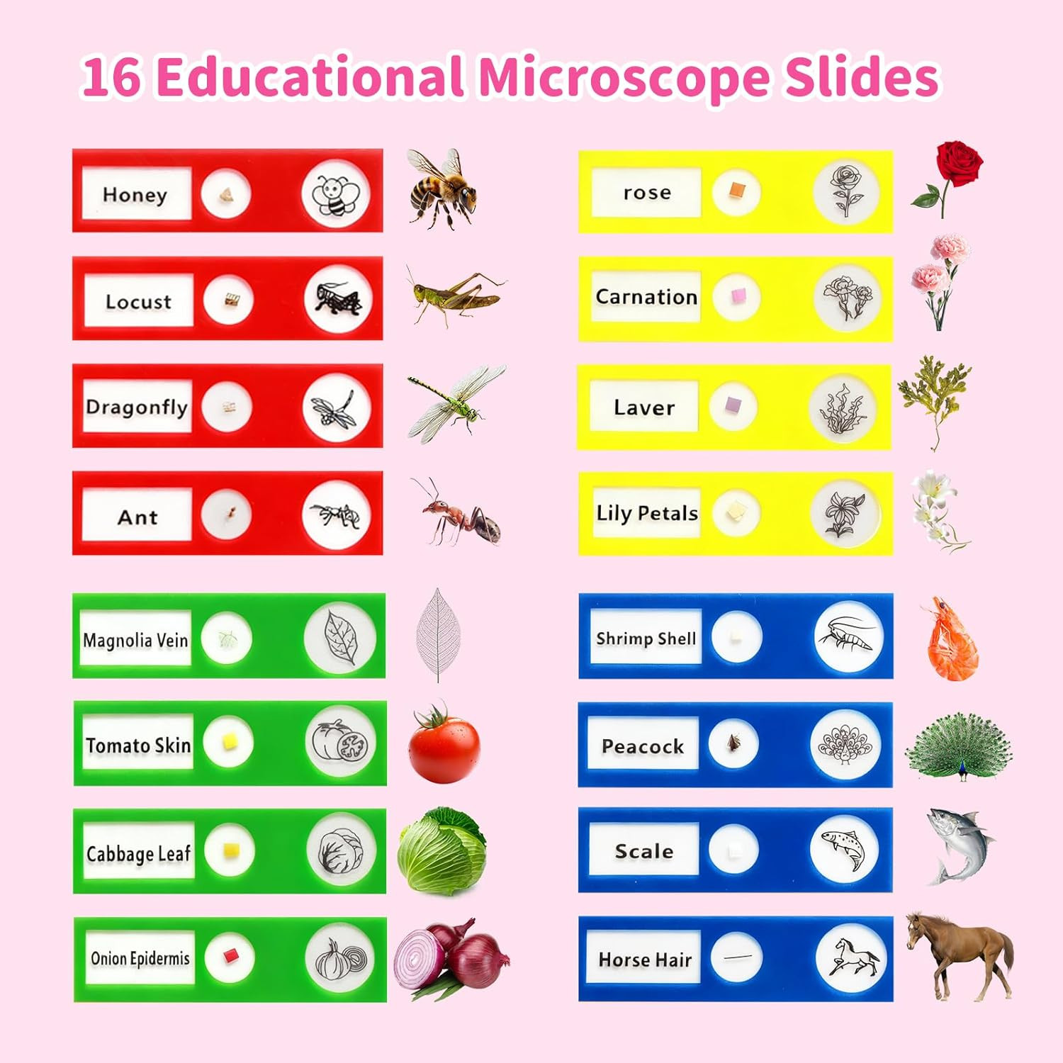 Microscope for Kids, 2.4" Handheld Digital Pocket Microscope, STEM Educational S