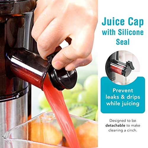 SJV-107-A Slow Juicer, 5.5 x 5.2 x 19.5, Silver, Black