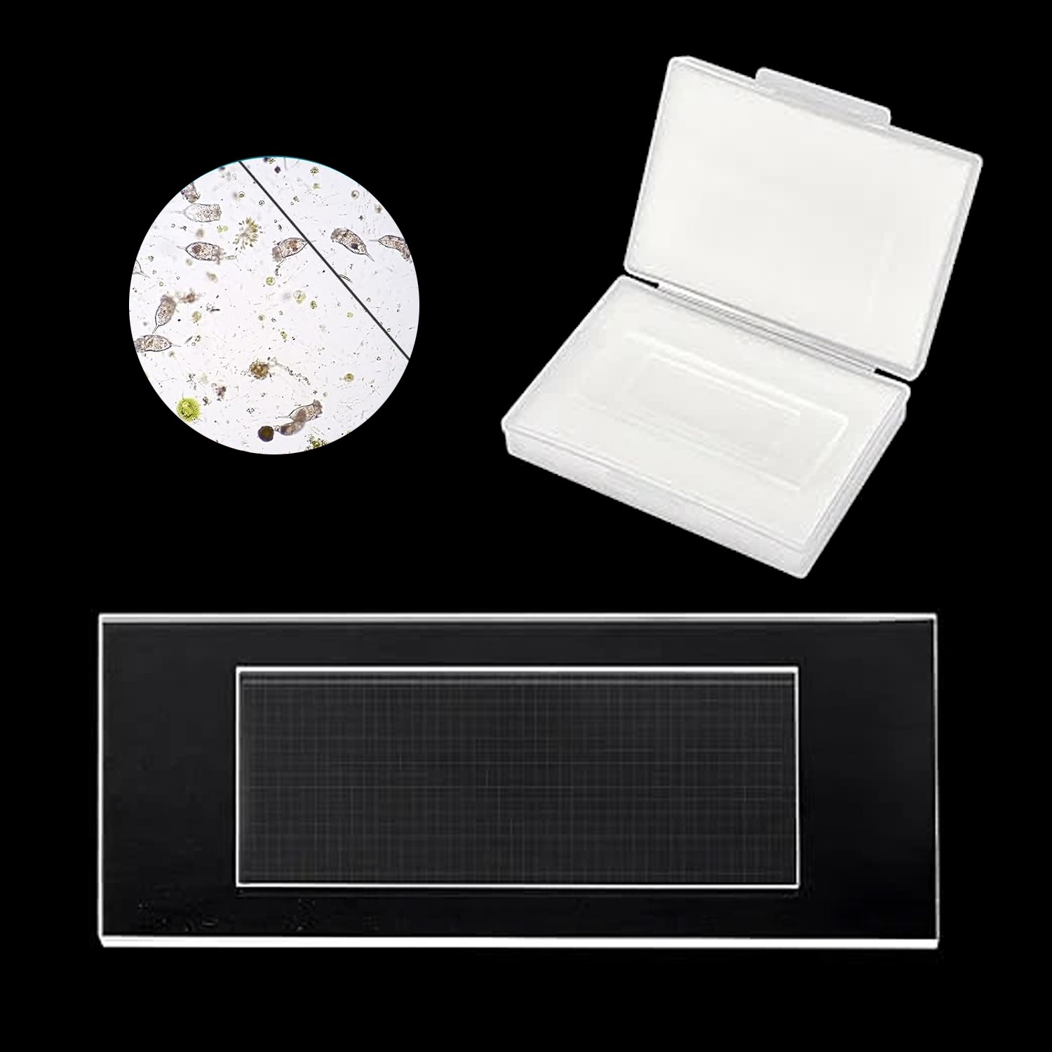 Glass Plankton Counting Cell w/ Case 1000 Grids Sedgewick Rafter Cover Glass