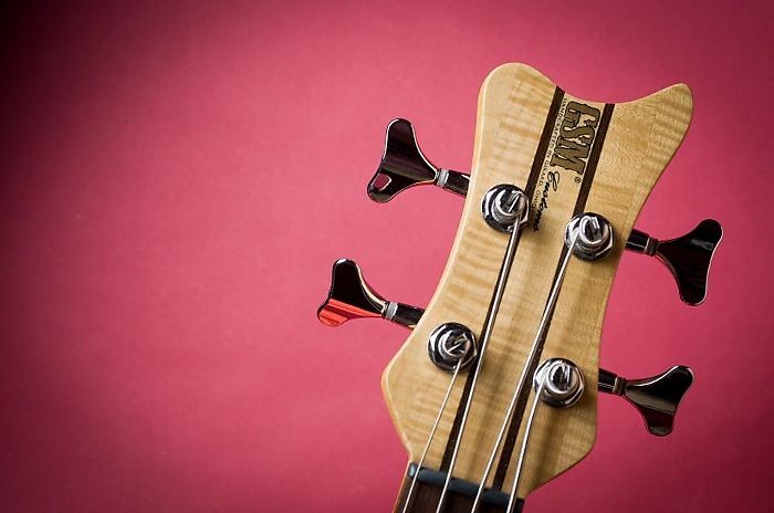 Custom Waterslide Guitar Headstock Decals