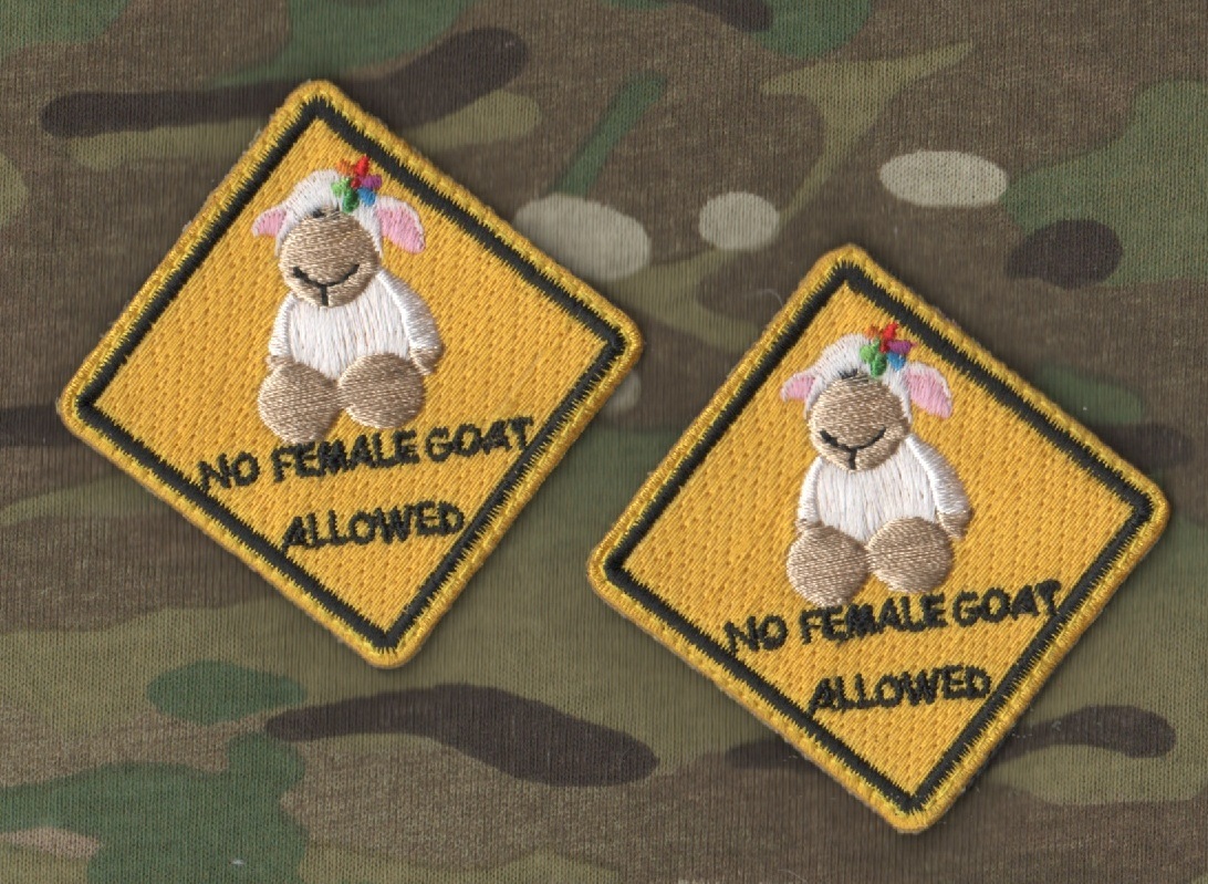 FRENCH FOREIGN LEGION Brigade La Fayette vêlkrö PATCH: Task Force La Fayette