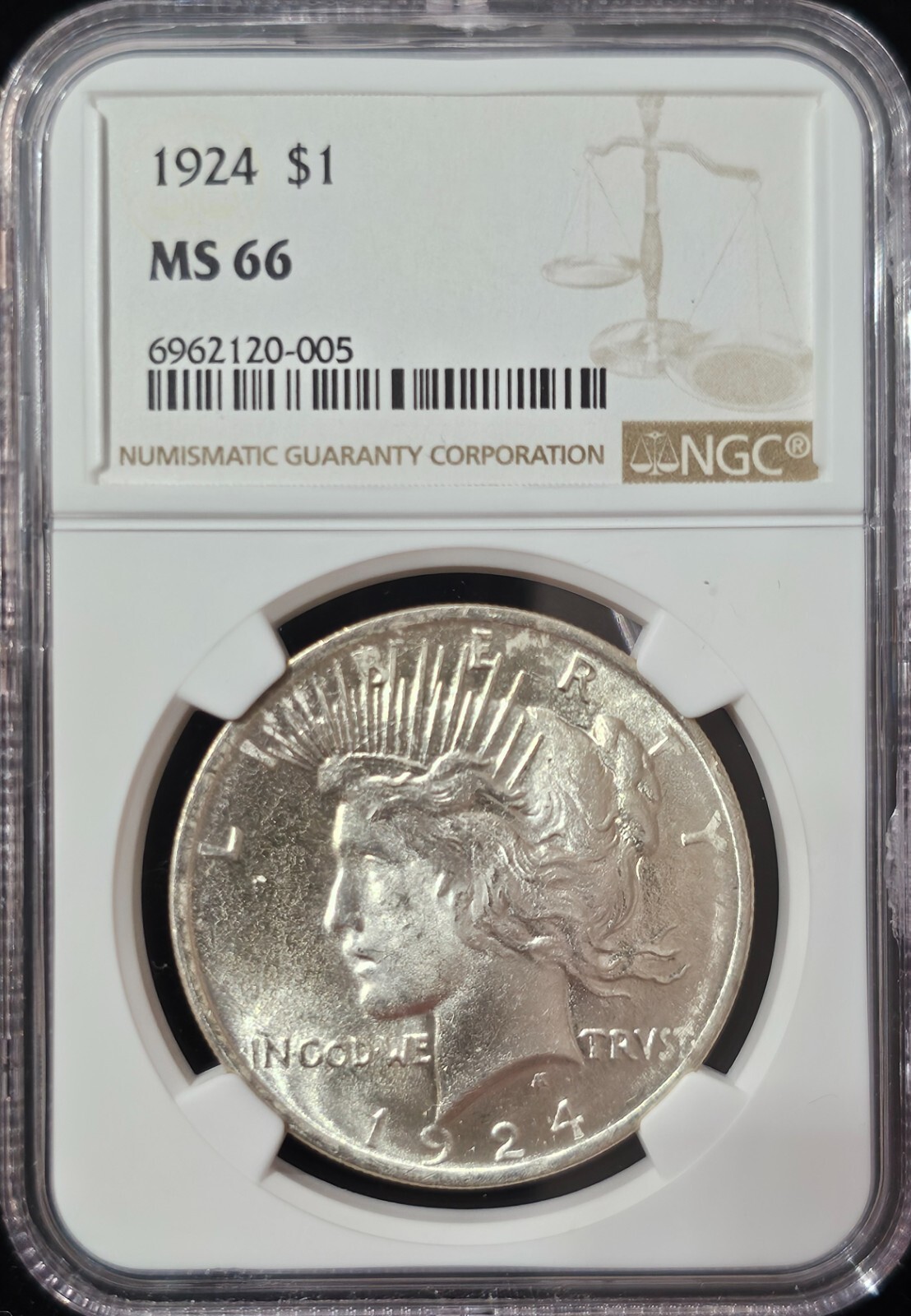 1924 Peace Dollar MS-66 NGC VIDEO