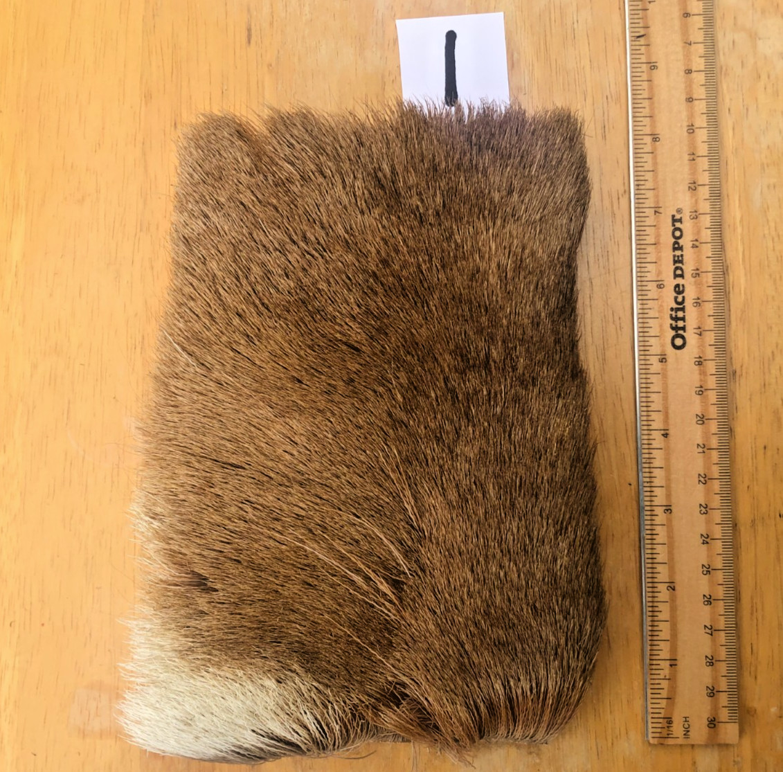 Natural Caribou Body Hair -- Very Clean -- Very Easy To Tie With