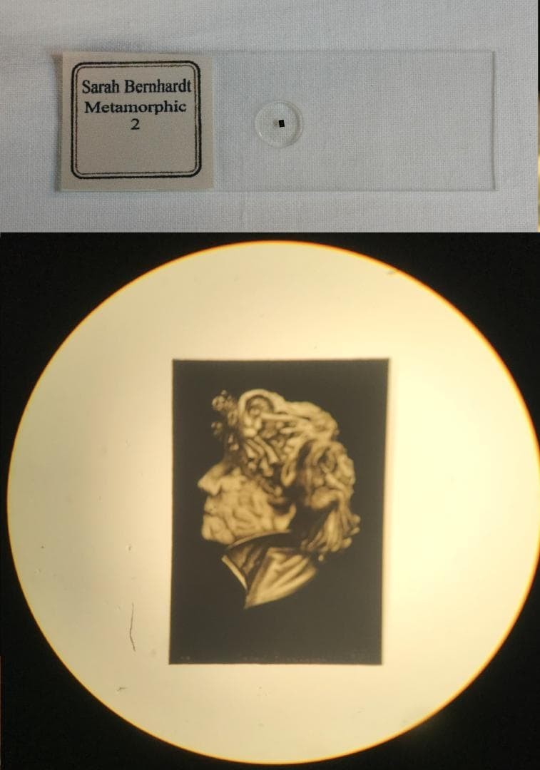 Antique Microscope Slide Set Metamorphic Bismarck Bernhardt Picasso Wagner c2001