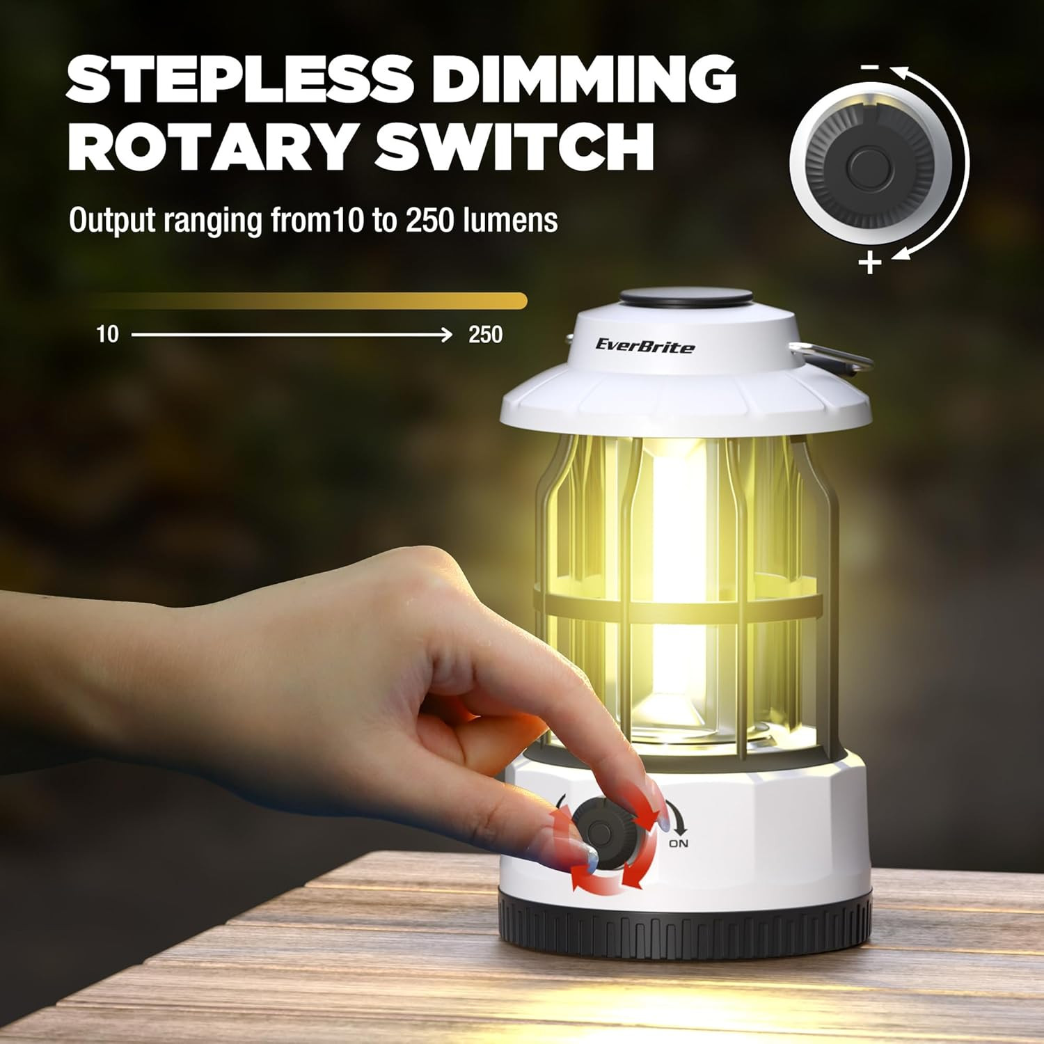 Everbrite LED Camping Lantern, USB C Rechargeable with Stepless Dimming, Vintage