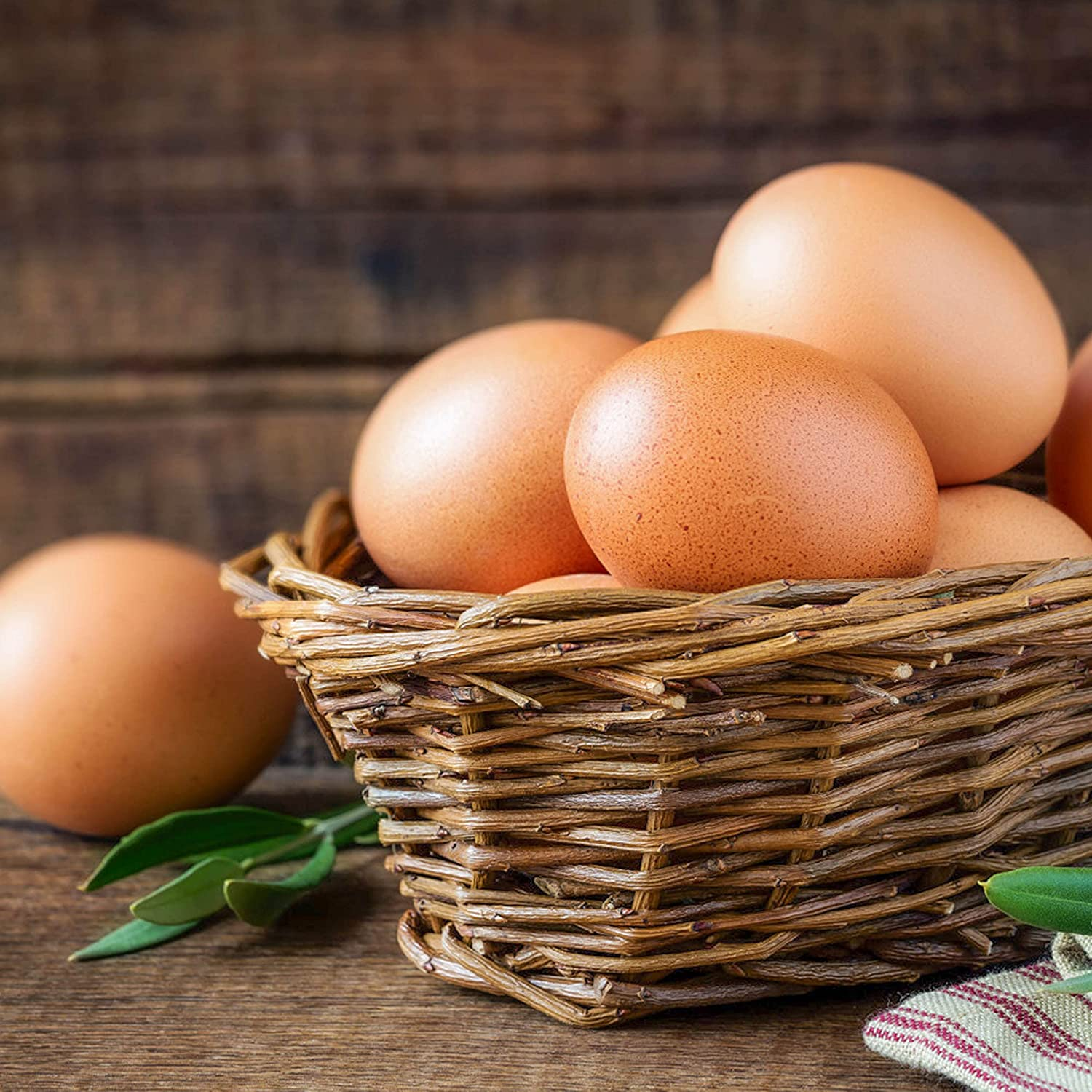 Craft Easter Eggs for Nest Wooden Eggs for Chickens