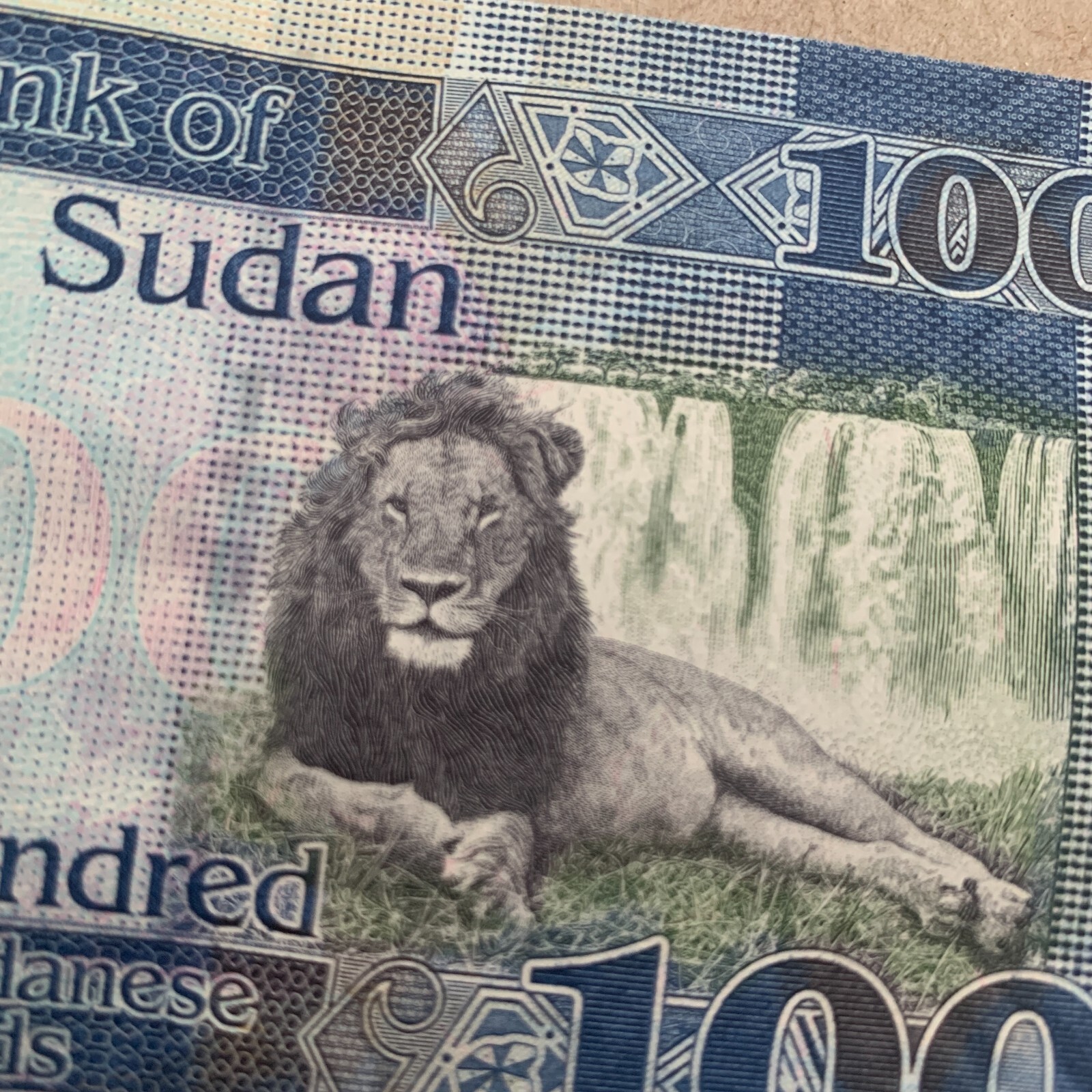 Majestic Lion South Sudan 100 Pounds Banknote 2019 Sudanese Currency Blue Money