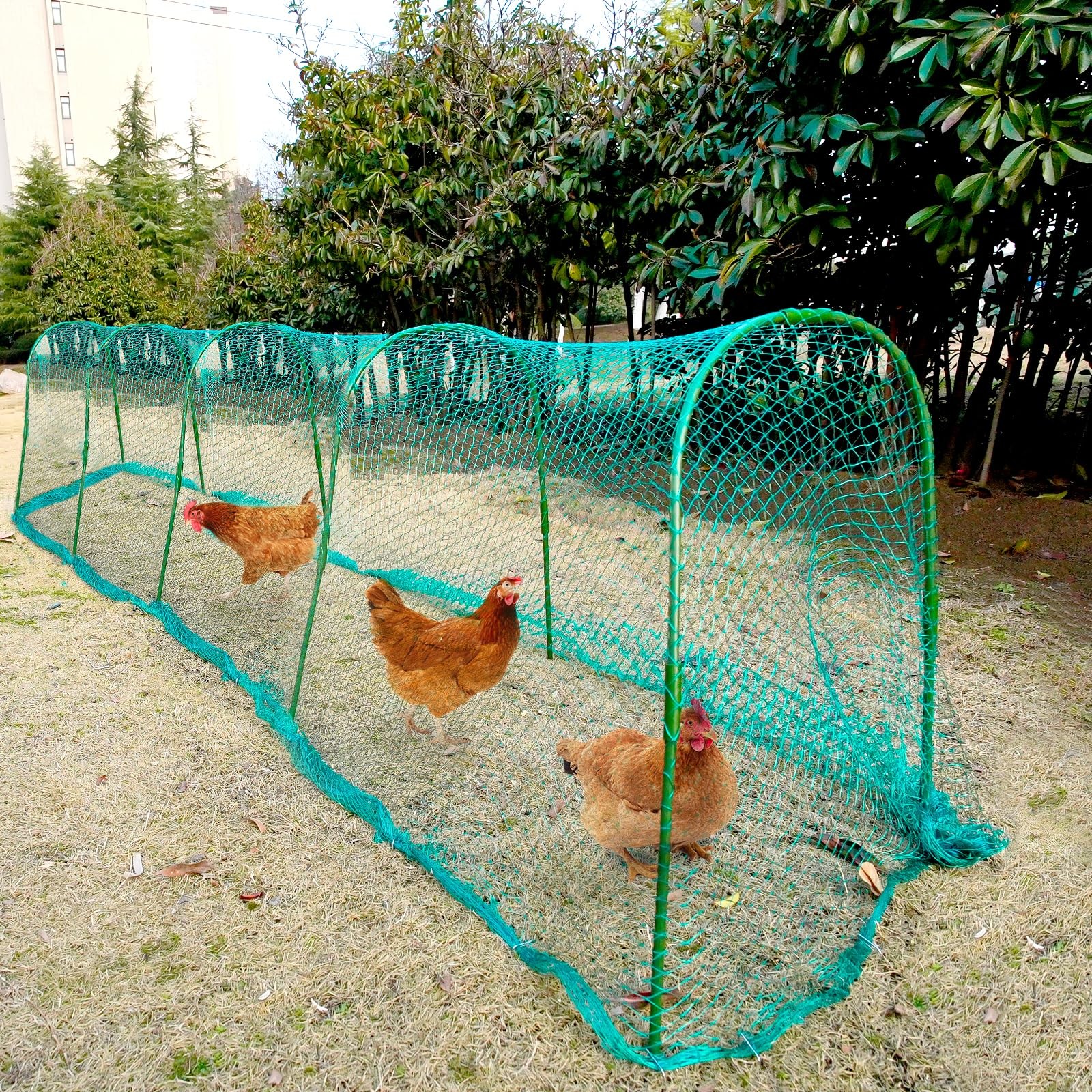 Chicken Tunnel, Chicken Coop Run, 157×31 Inches Chicken Tunnels for Outside Y...