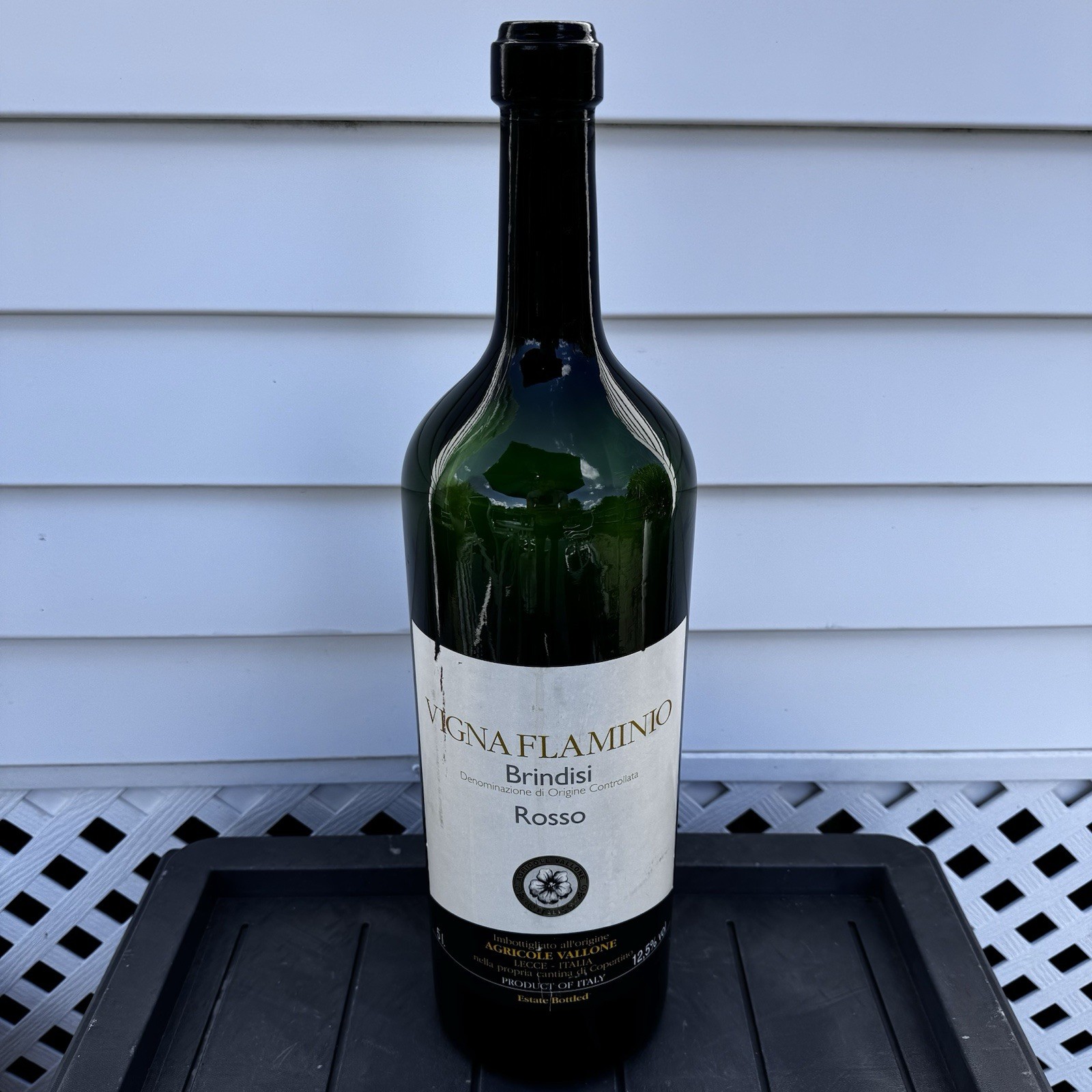 Vigna Flamminio Brindisi Rosso Empty Display 5 Liter Giant Wine Bottle Italy