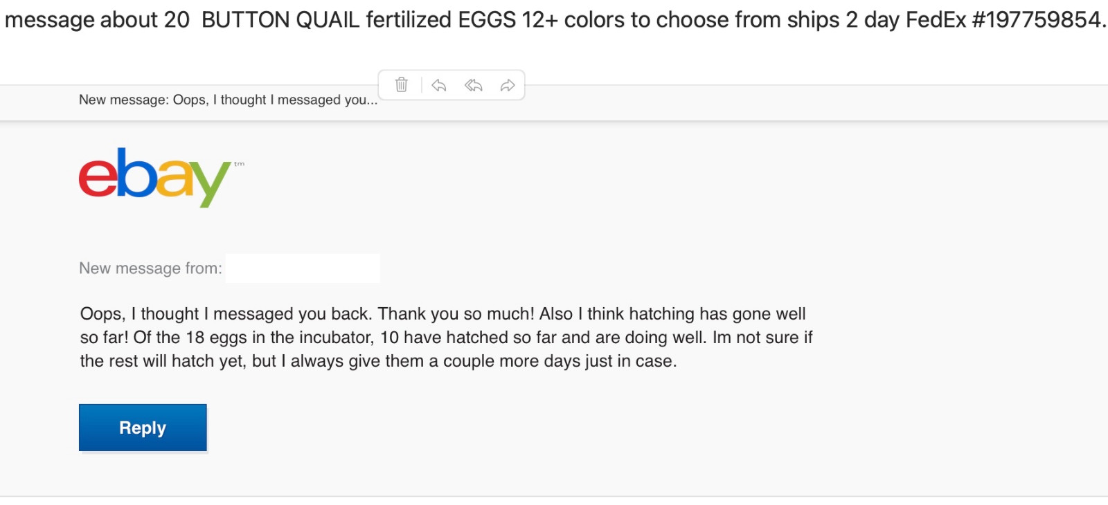 30 BUTTON QUAIL EGGS choose from 12+ colors ships USPS PRIORITY PLEASE READ ALL