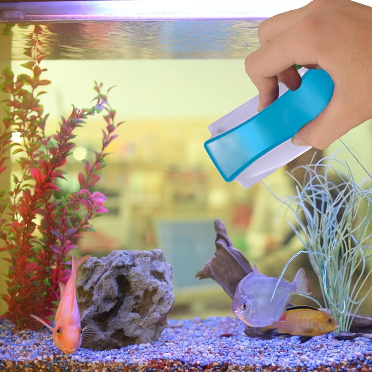 Premium Magnetic Algae Scraper for Easy Aquarium Cleaning - Light Blue, Size S