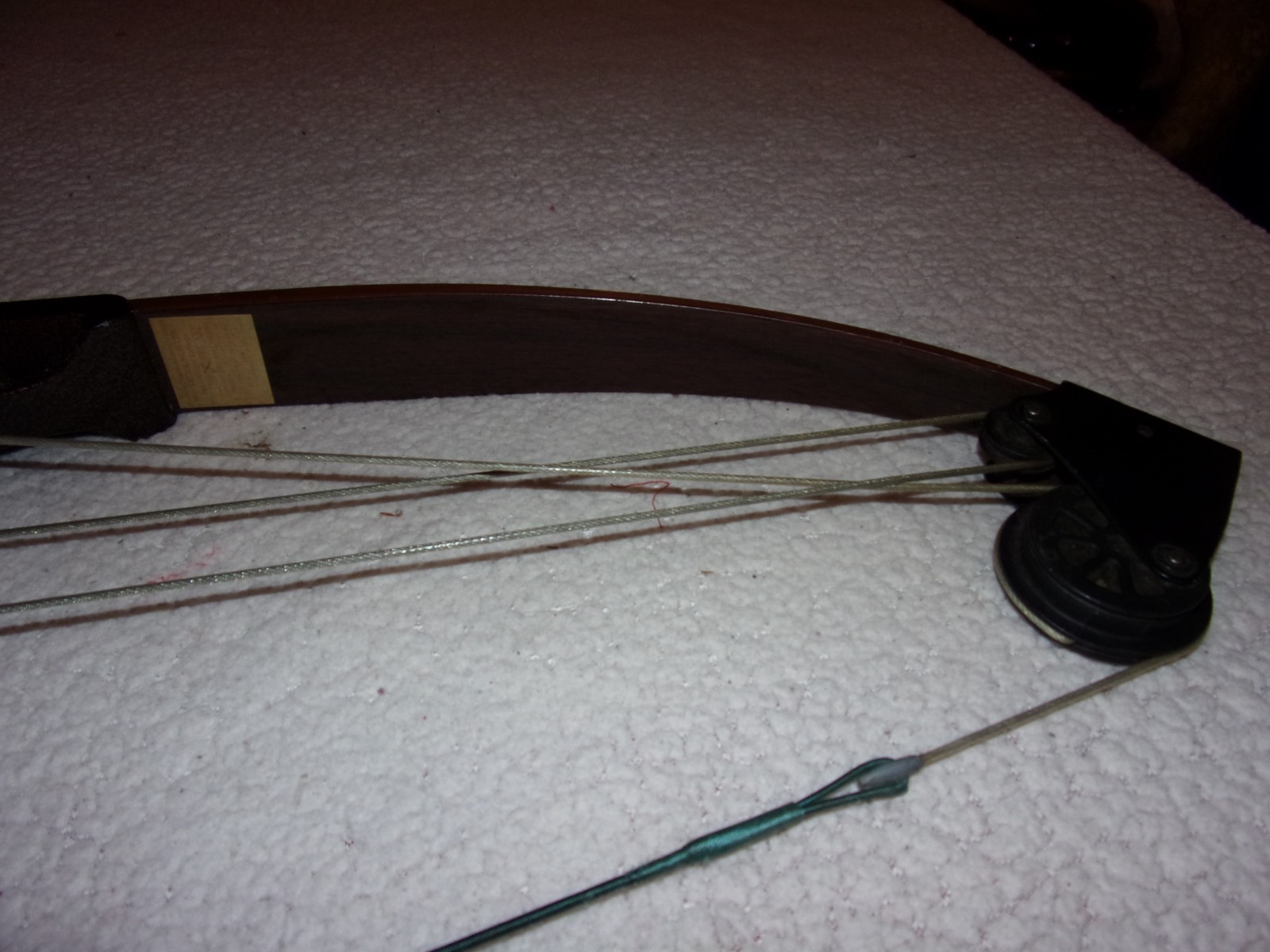 Bear Whitetail Hunter Compound Bow SEE DESCRIPTION