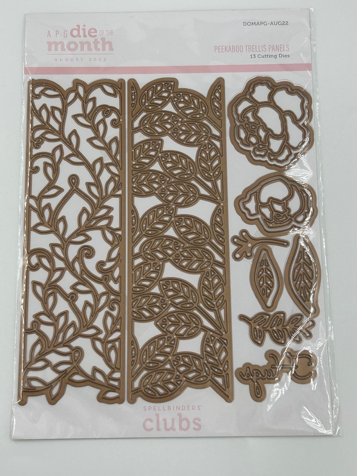 Spellbinders Amazing Paper Grace Peekaboo Trellis Panels Cutting Dies 13pc AUG22
