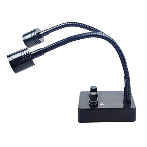 Microscope Light Source, USB Desk Dual Gooseneck Lights LED Mini Spot Light