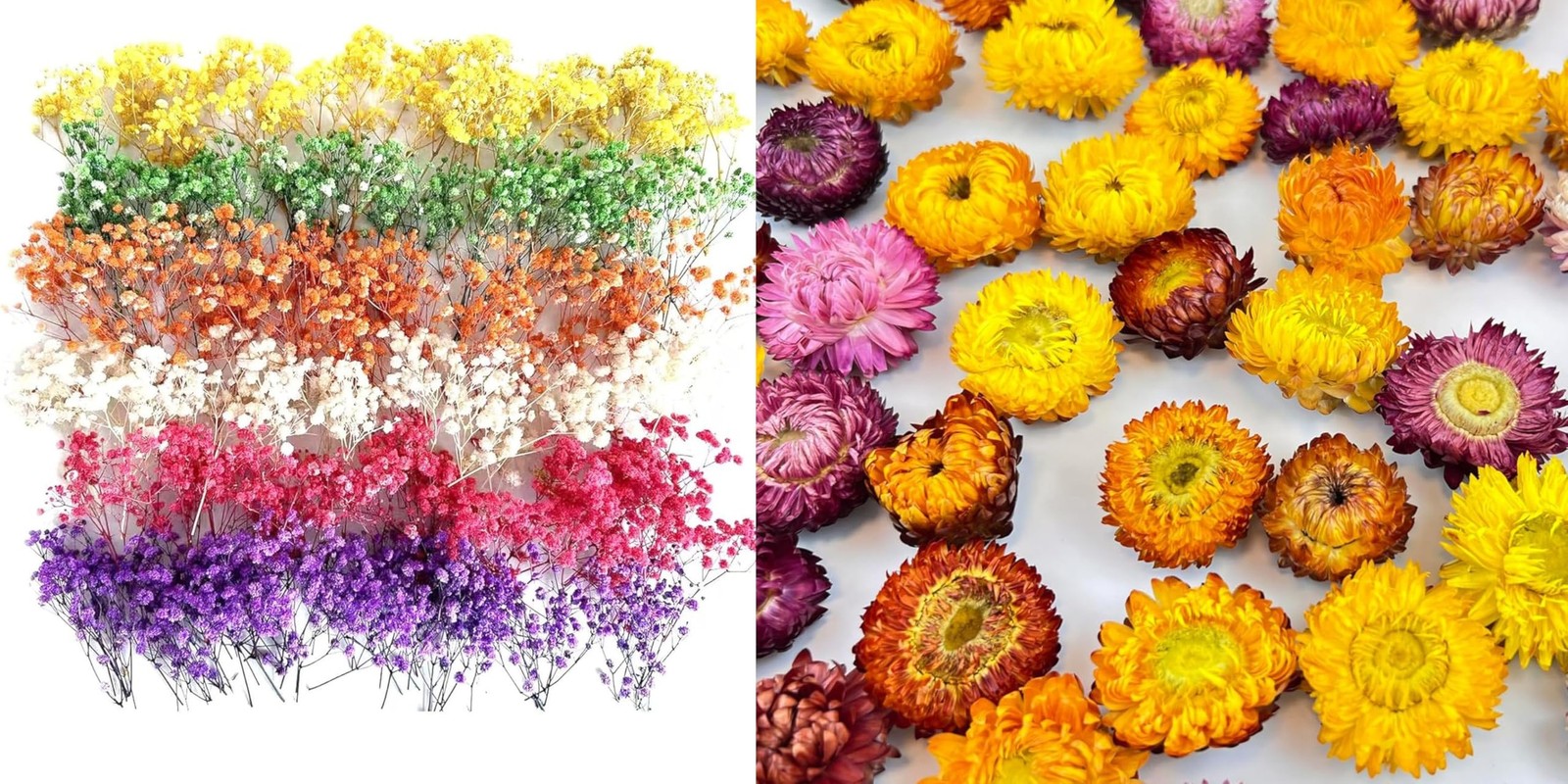 120 Pcs Mini Dried Baby Breath Flowers+55pcs Dried Daisy Flowers Heads